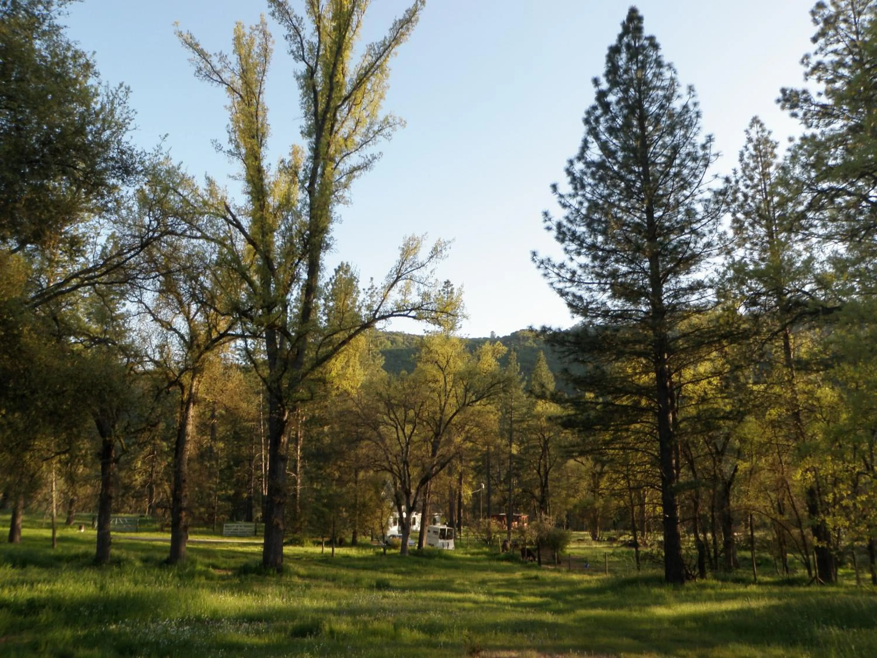 Garden view in Little Red Caboose