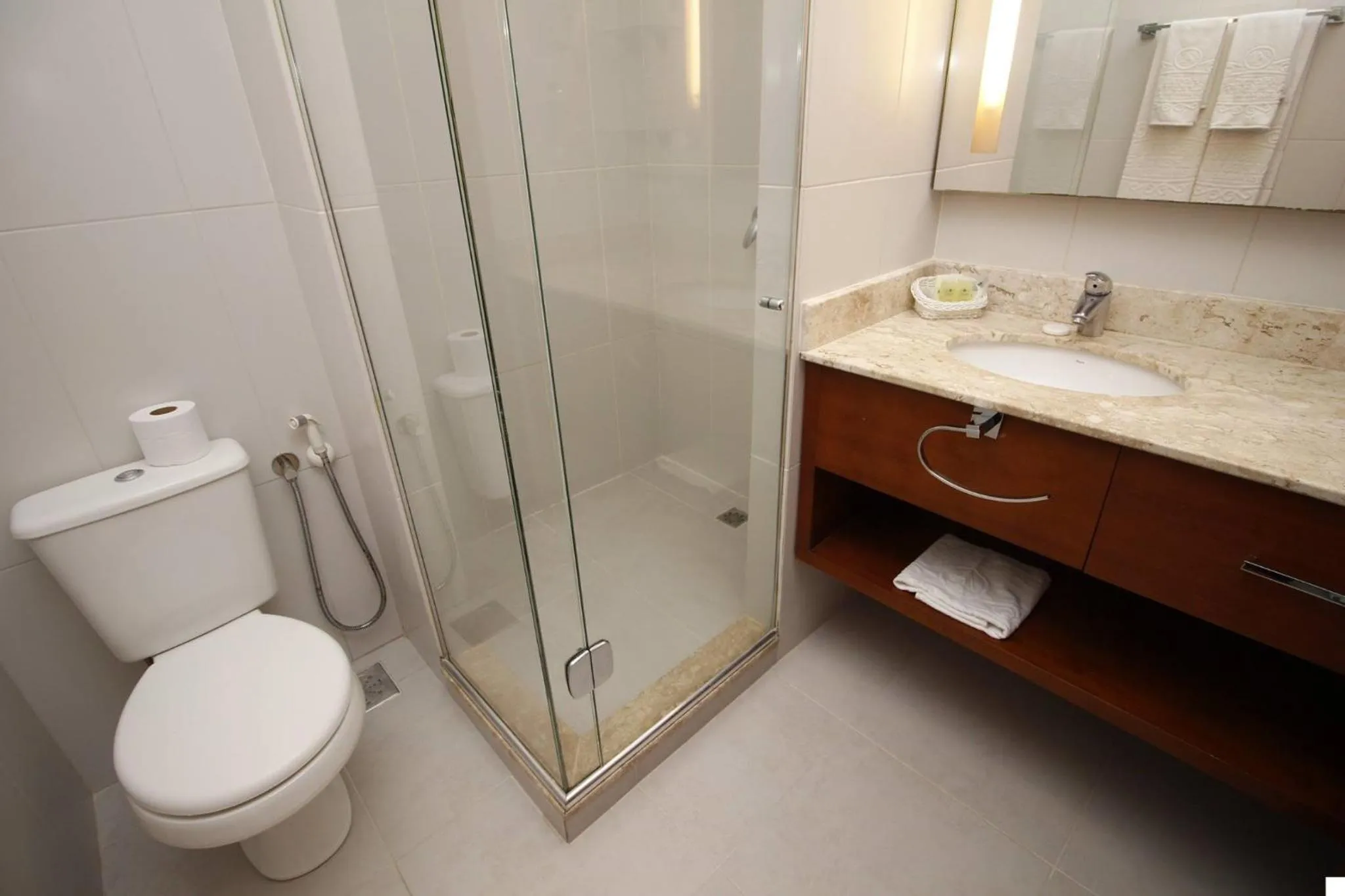 Bathroom in Hotel Alpestre