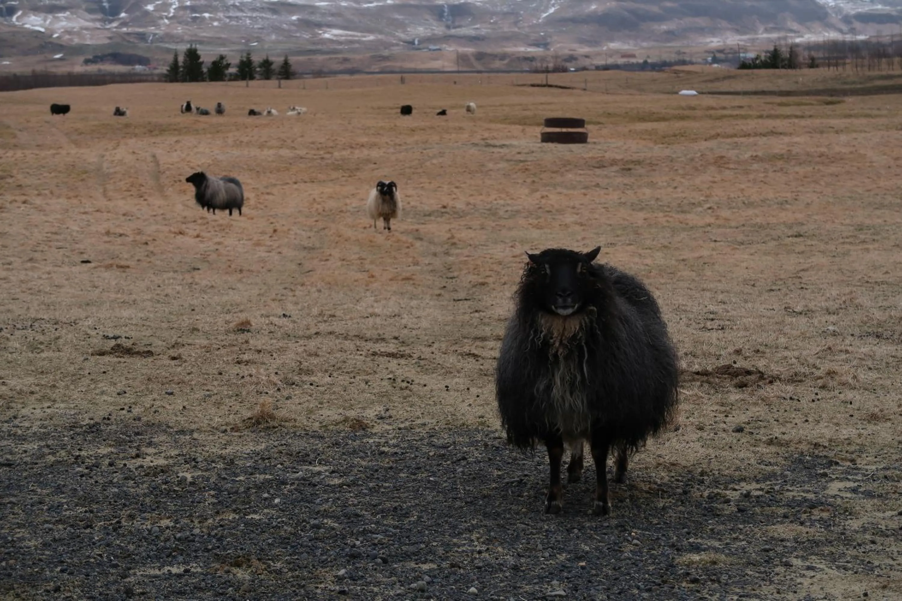 Property building in Hvoll Hostel