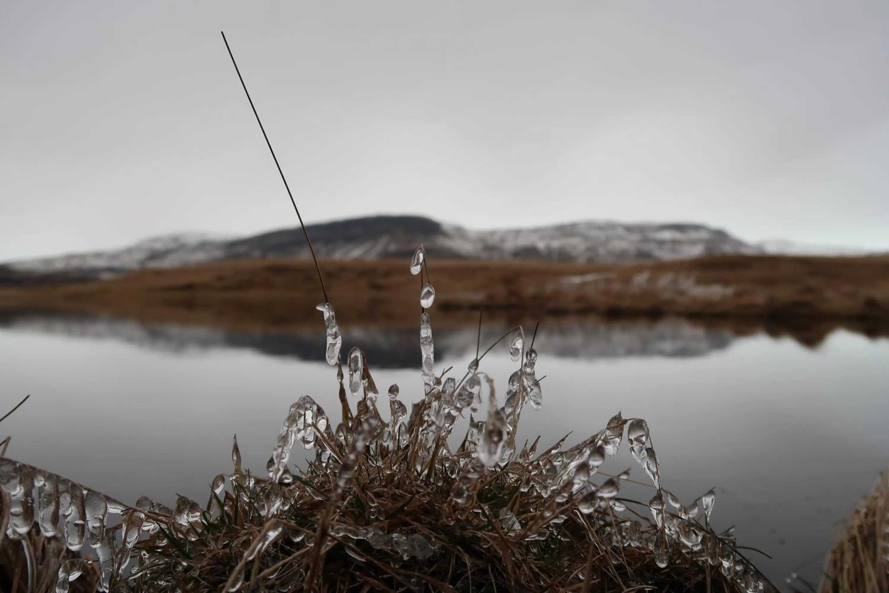 Neighbourhood in Hvoll Hostel