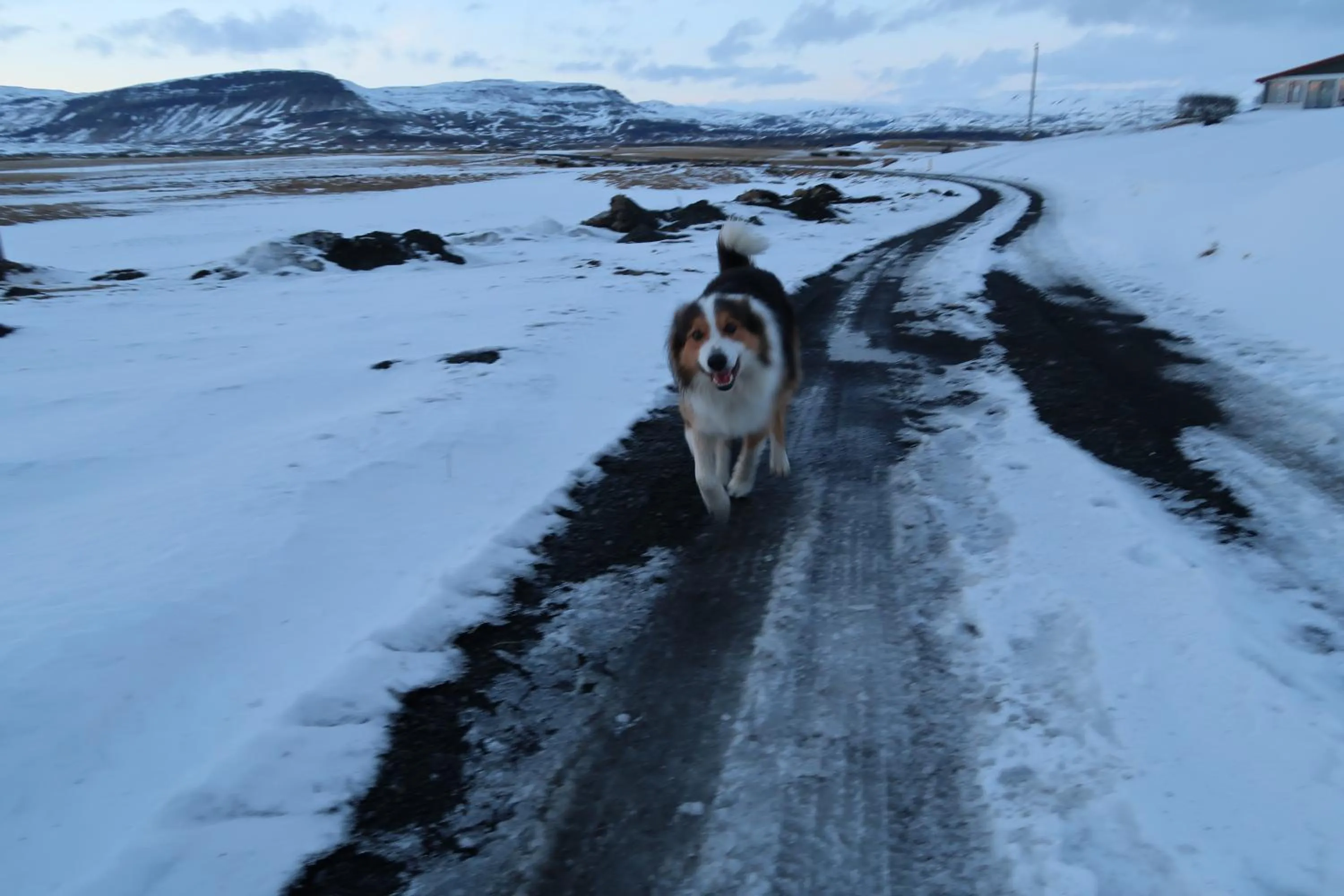 Property building in Hvoll Hostel