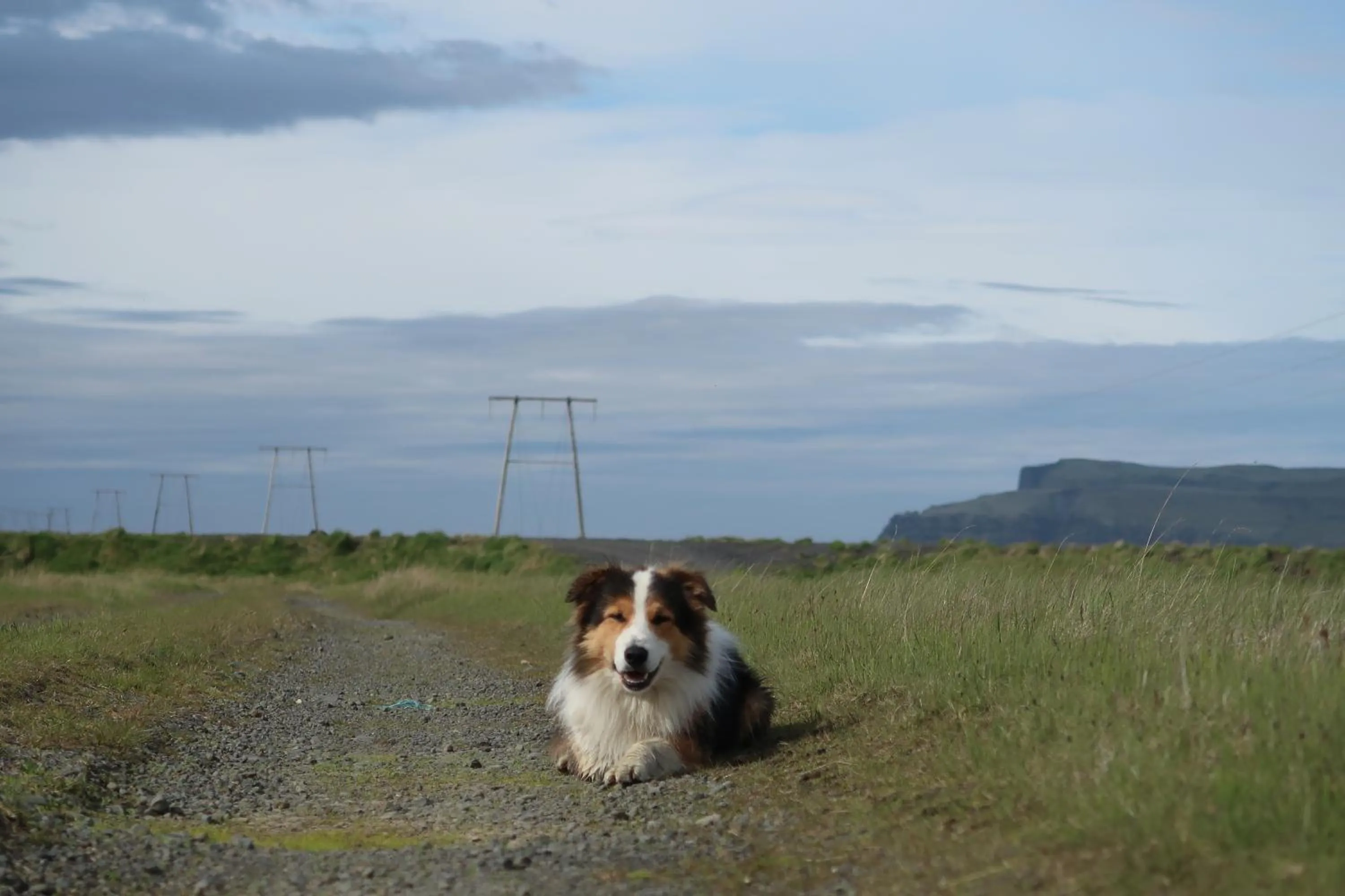 Summer in Hvoll Hostel