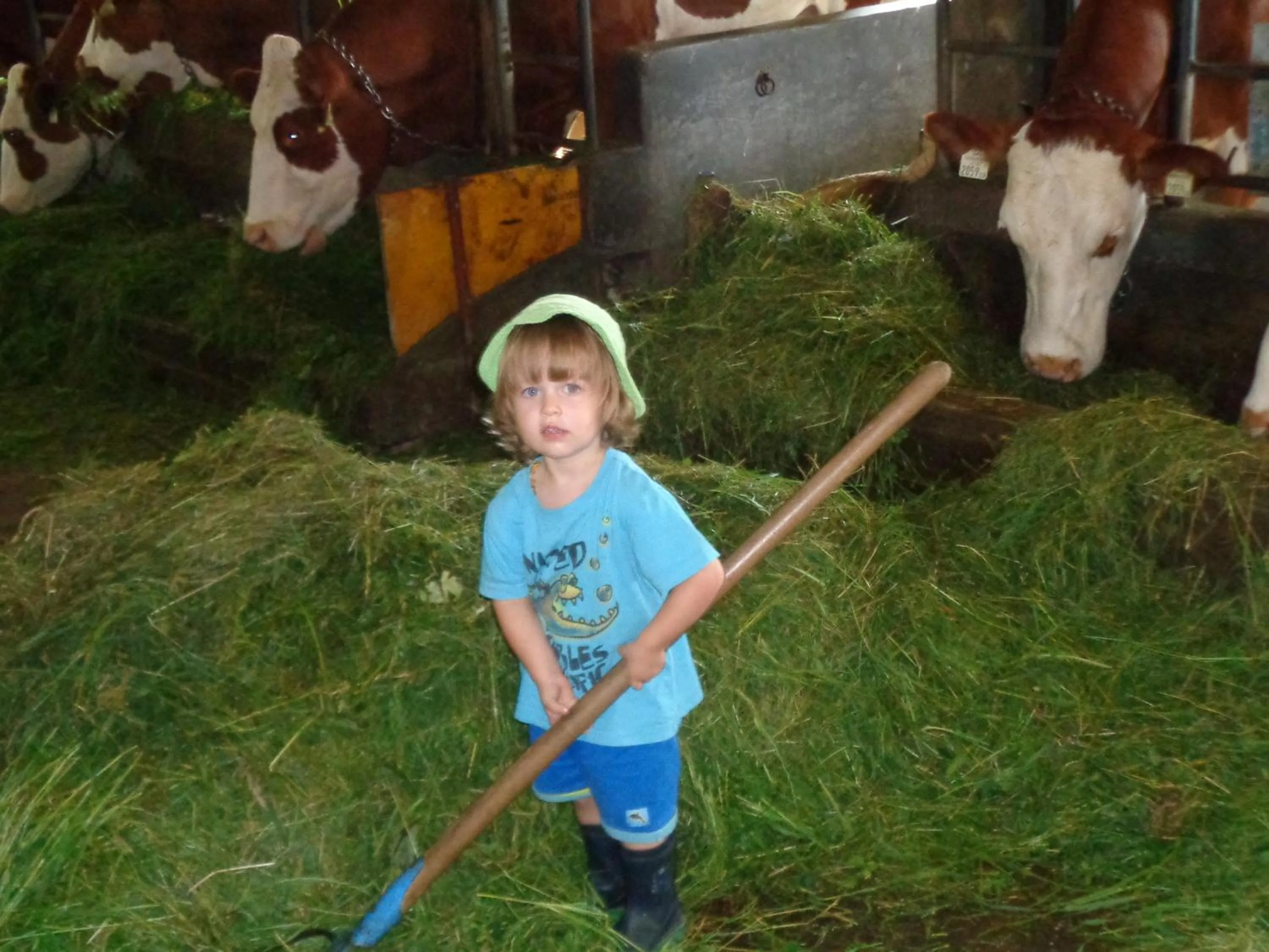 Entertainment in Stroblbauernhof
