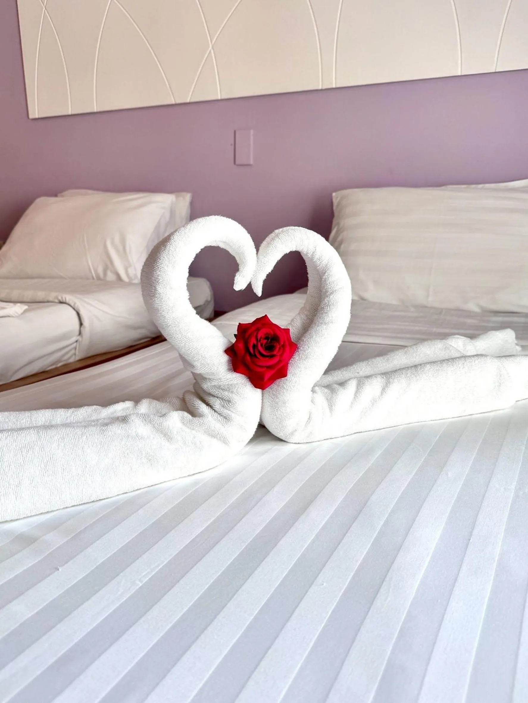 Bed in Nantra de Comfort