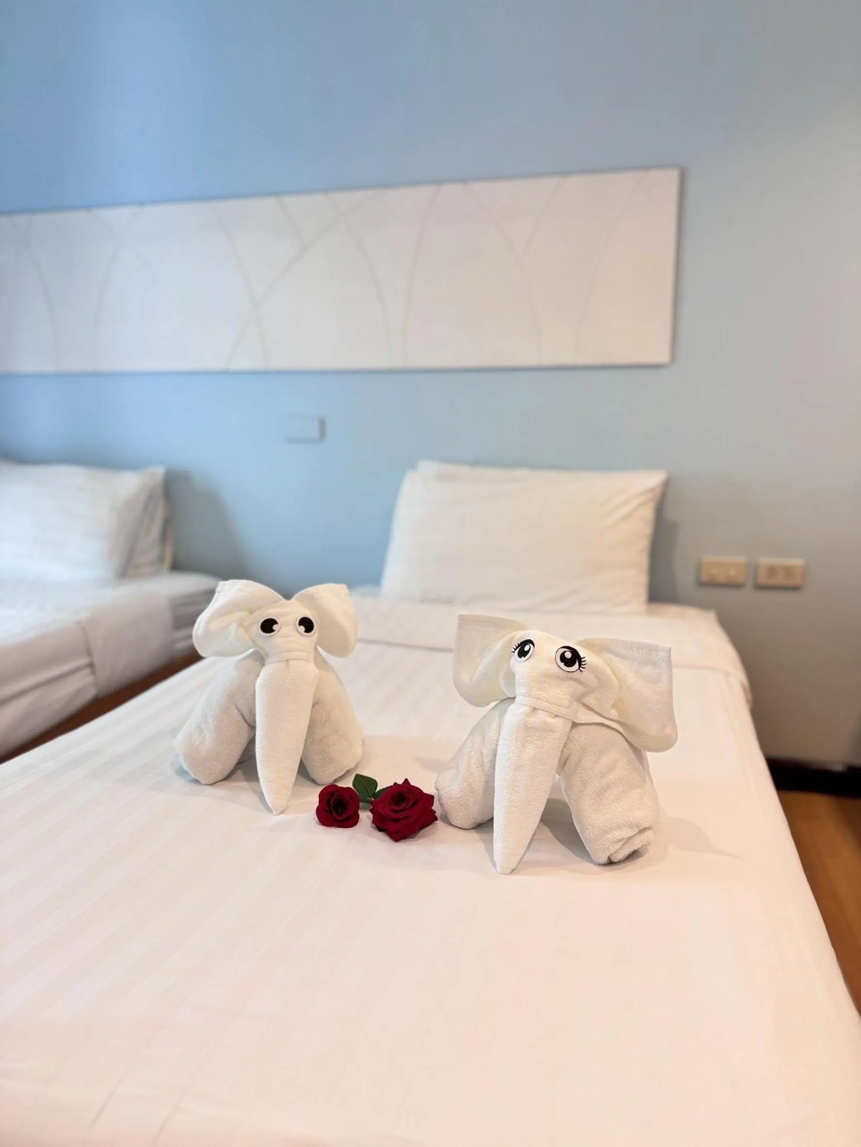 Bed in Nantra de Comfort