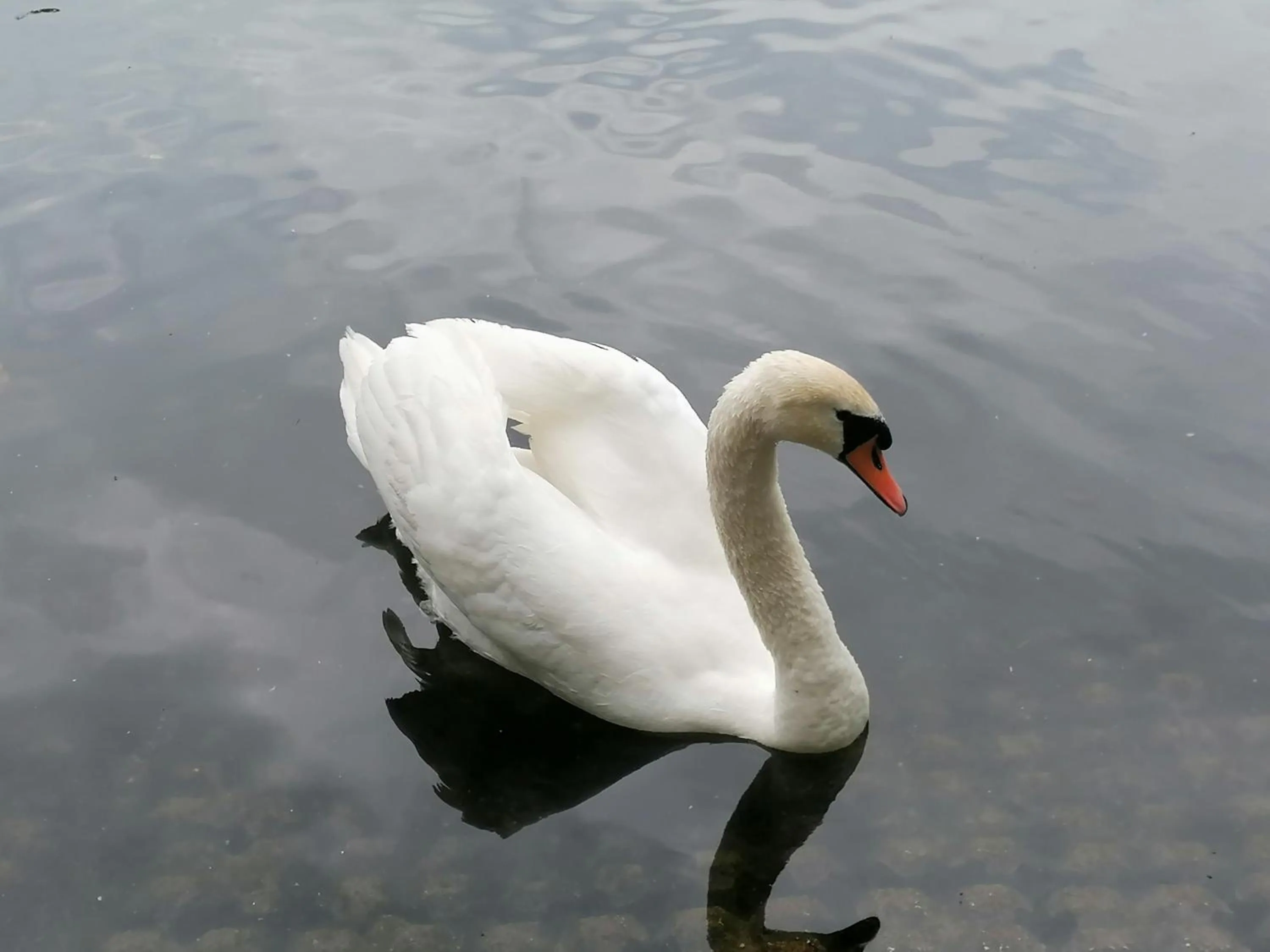 Nearby landmark in Clumber Lane End Farm