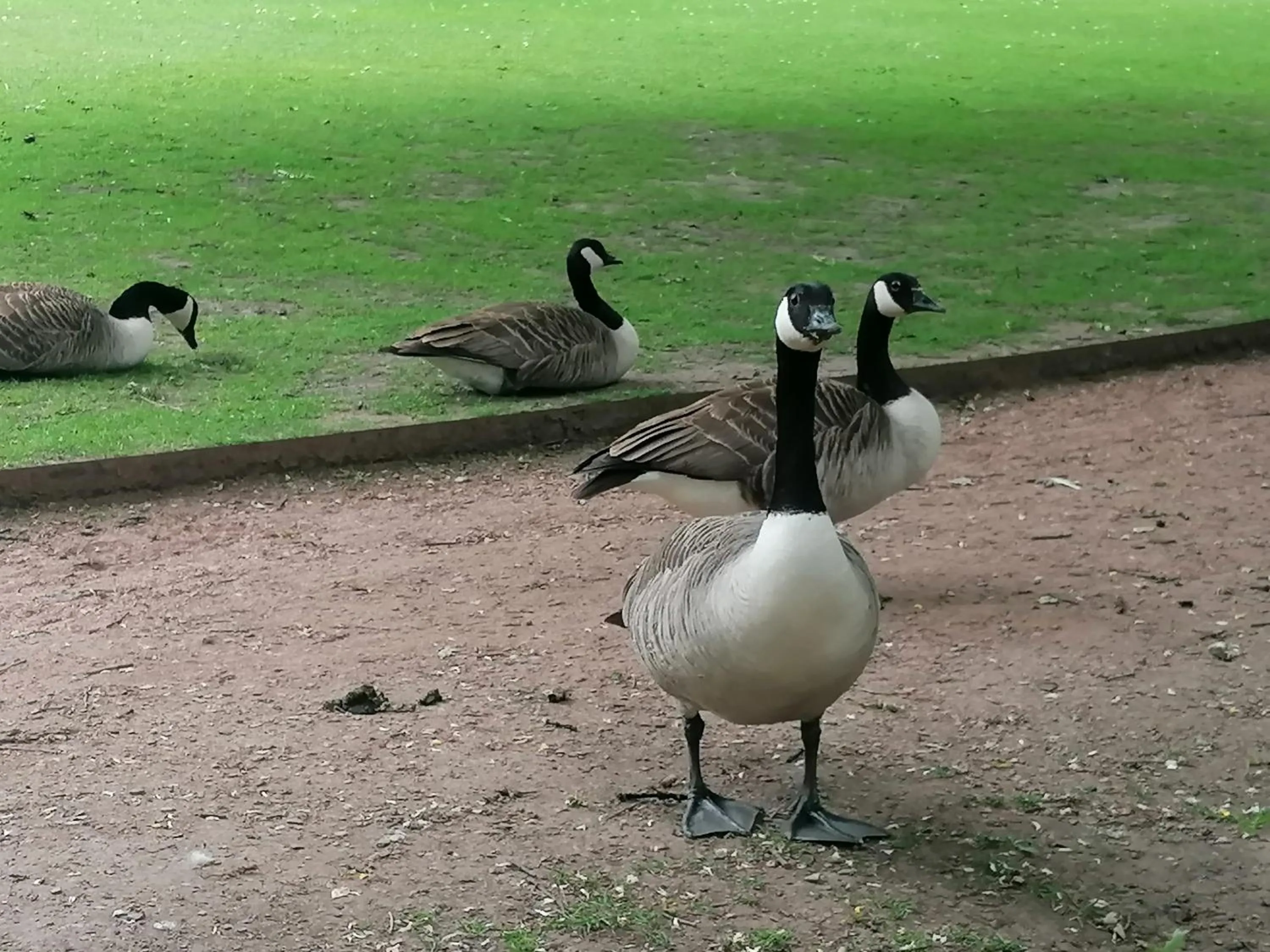 Nearby landmark in Clumber Lane End Farm