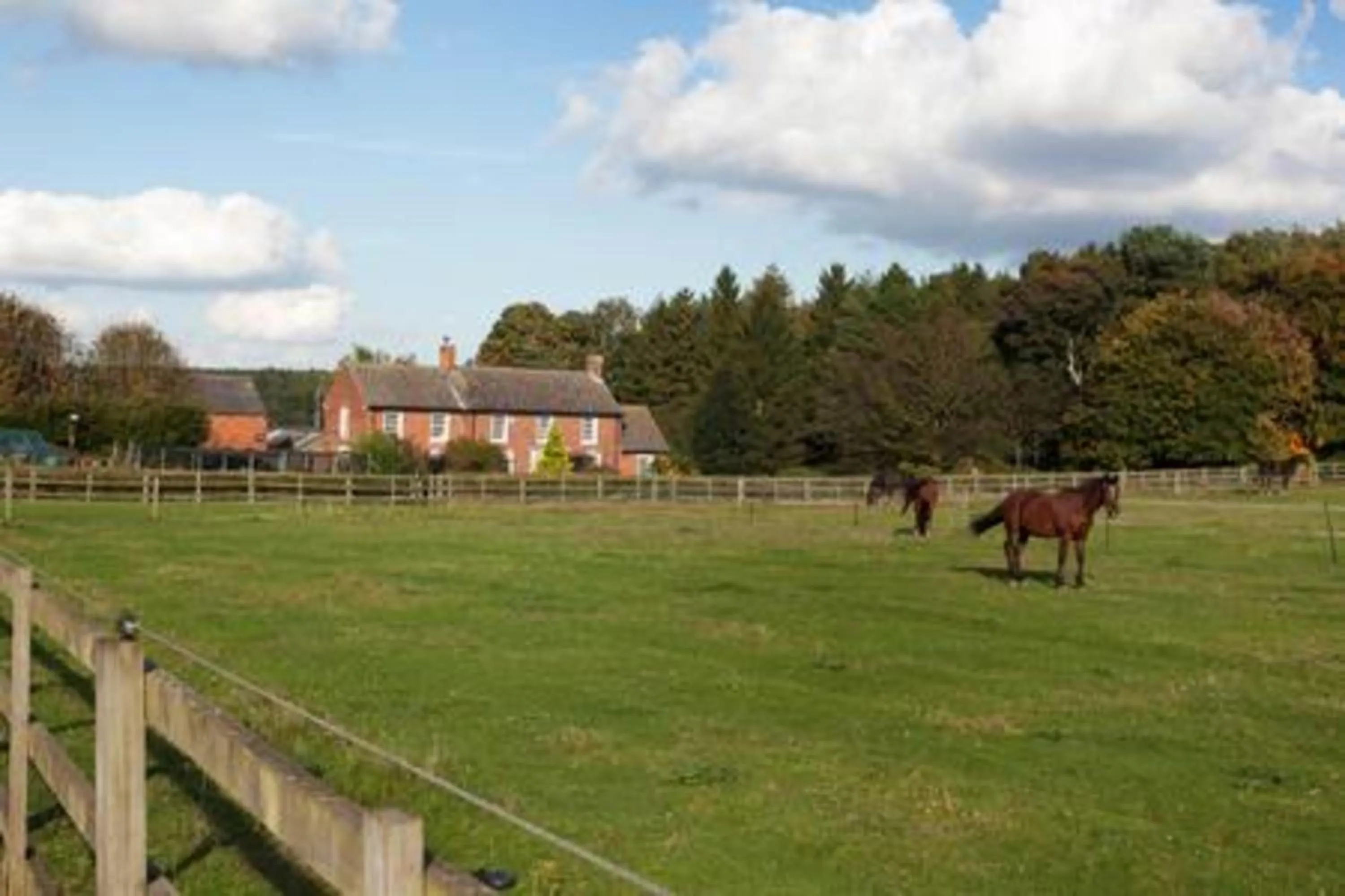Neighbourhood in Clumber Lane End Farm