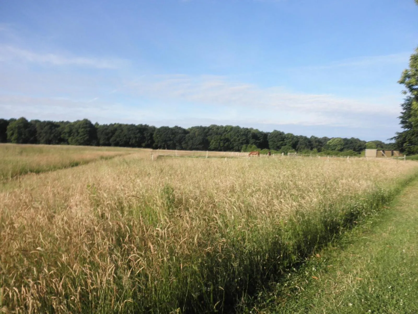 Area and facilities in Clumber Lane End Farm