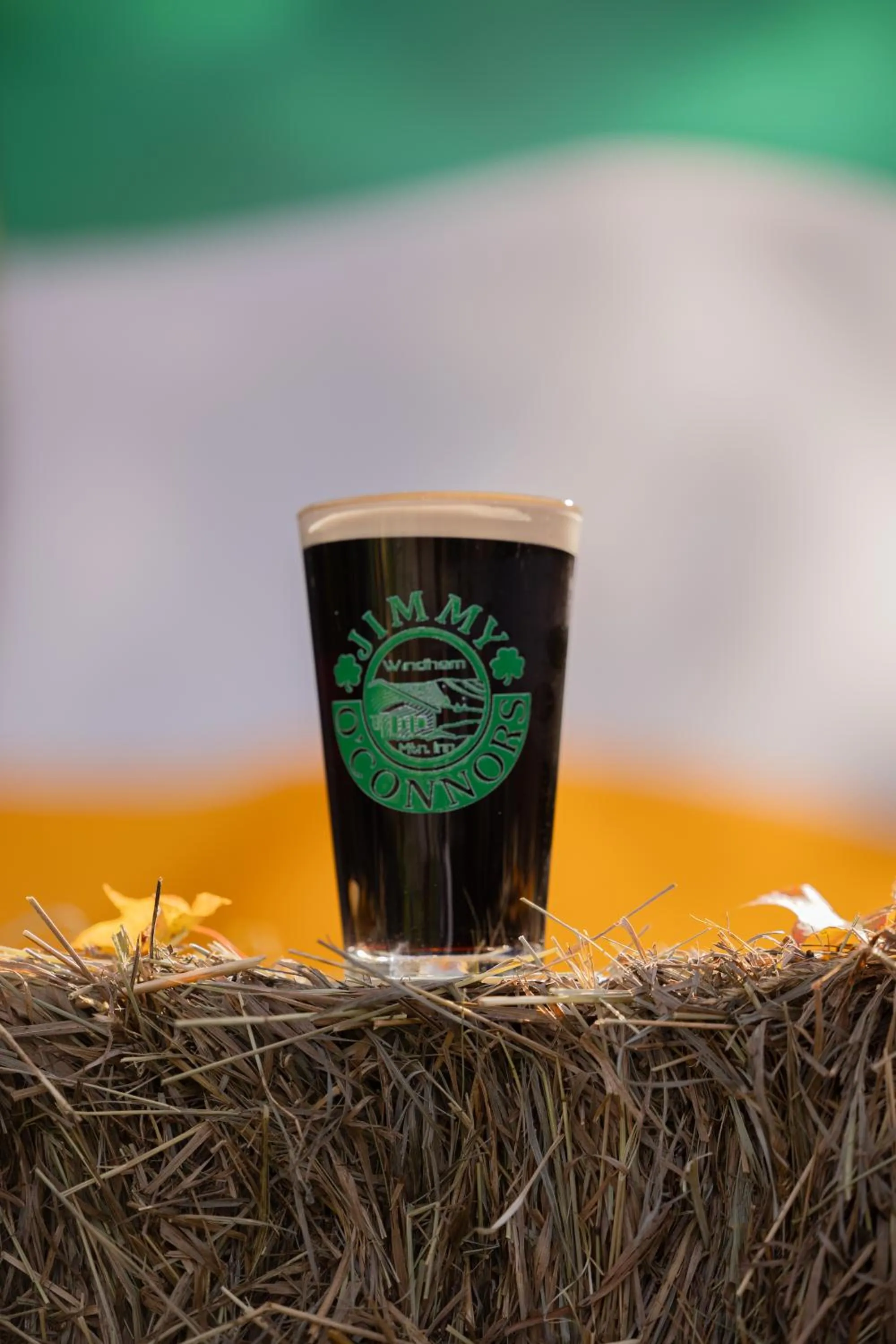 Jimmy OConnor's Windham Mtn Inn