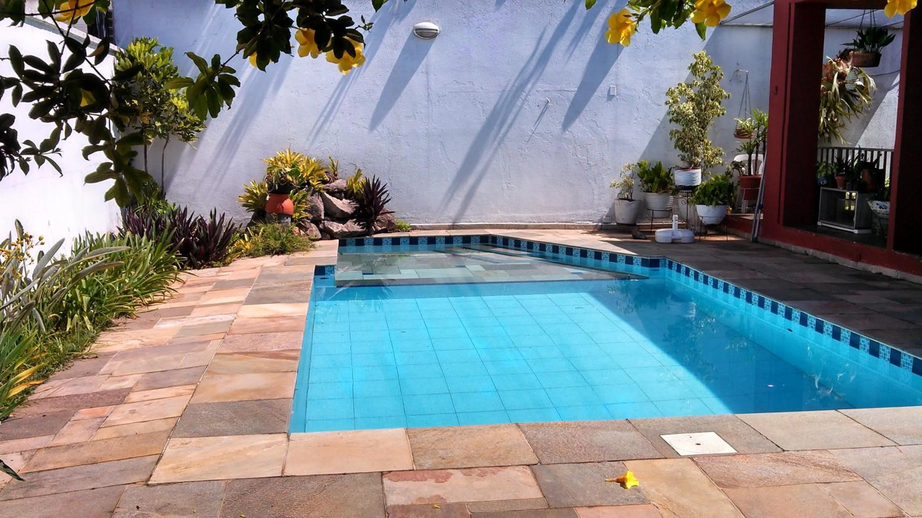 Swimming pool in Comodita