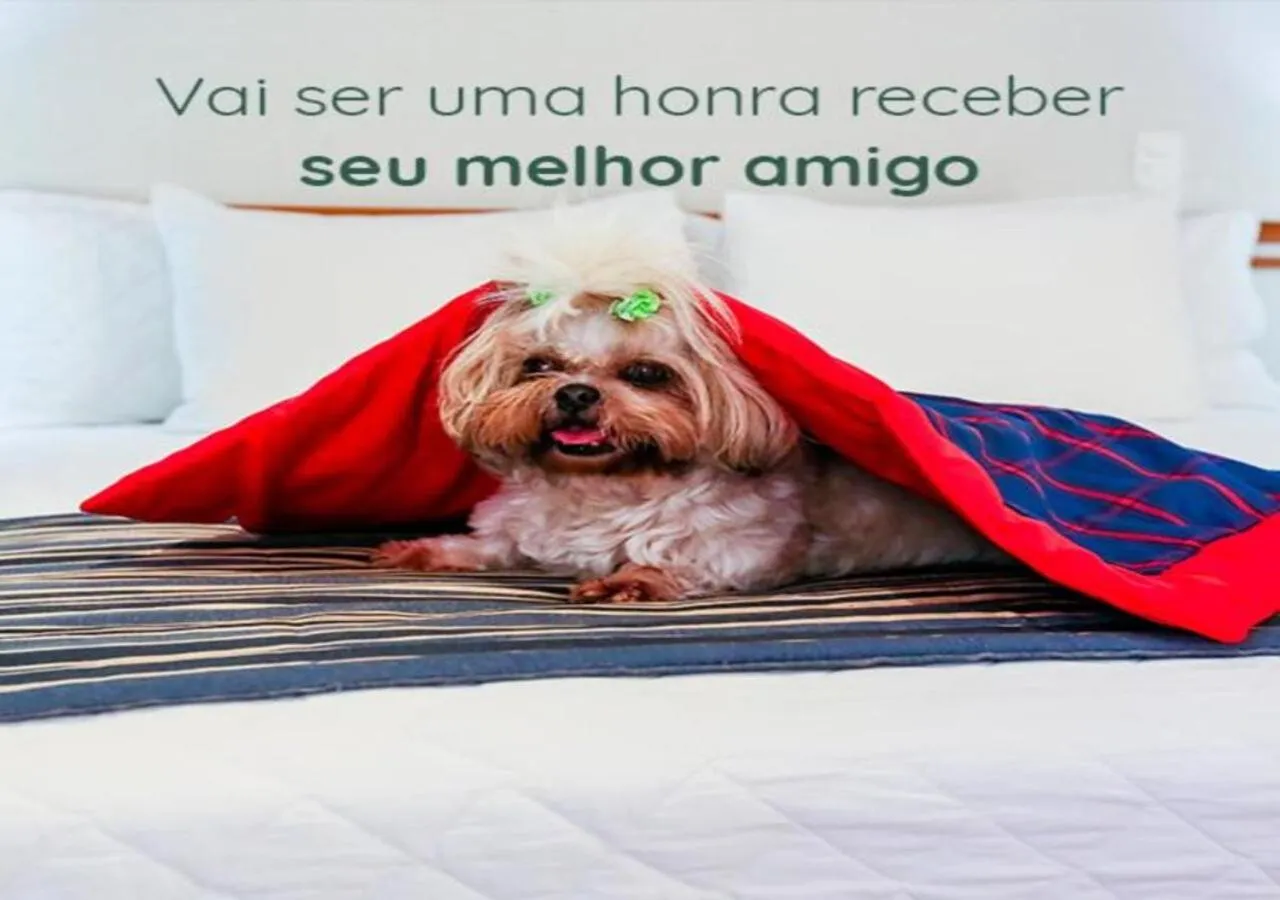 Pets in eSuites Sorocaba by Atlantica