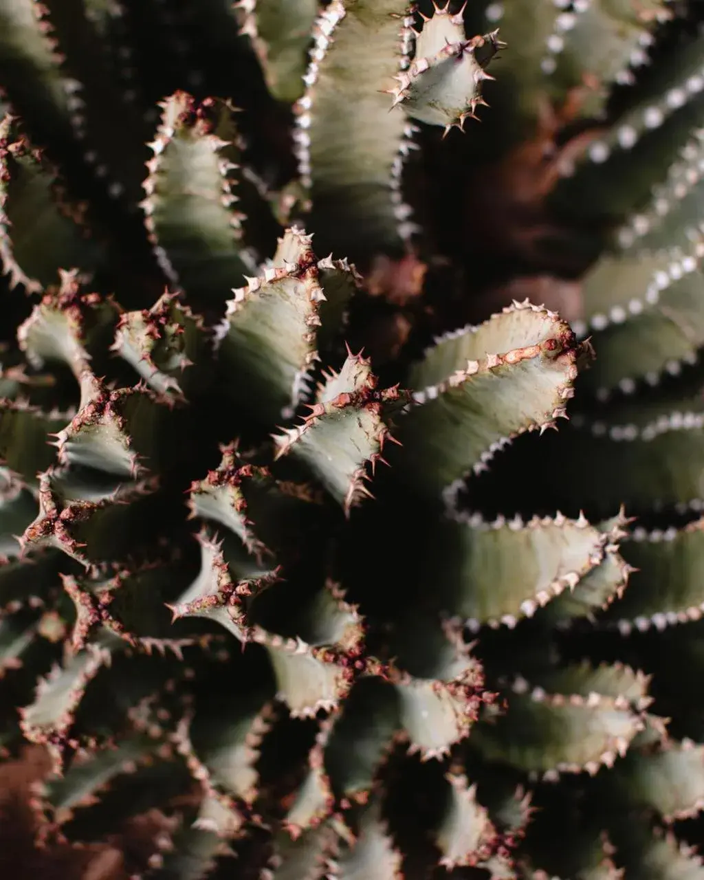 Deluxe King Room in Historic Star Motel Deluxe King Room in Historic Star Motel