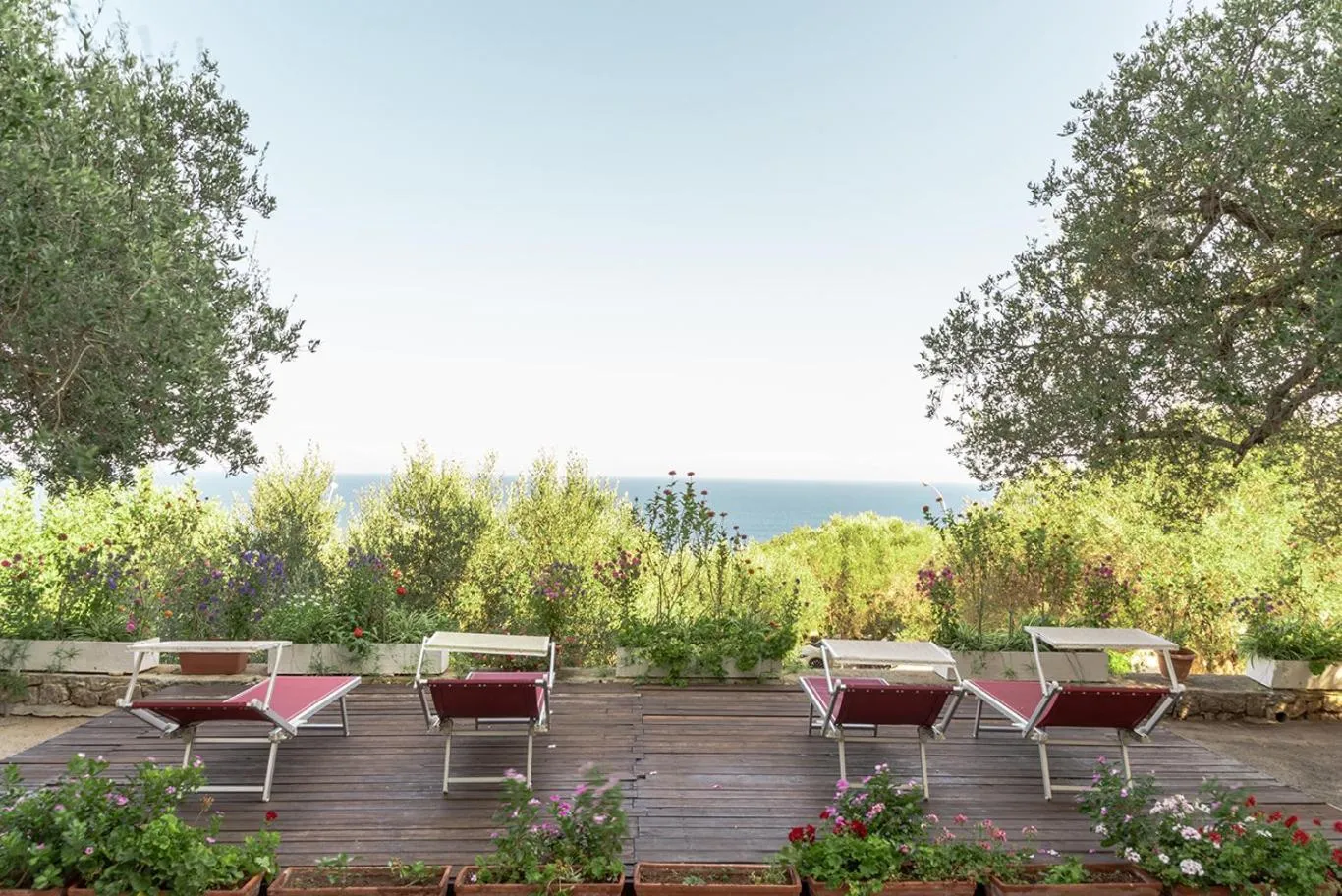 Balcony/Terrace in Hotel Orsa Maggiore