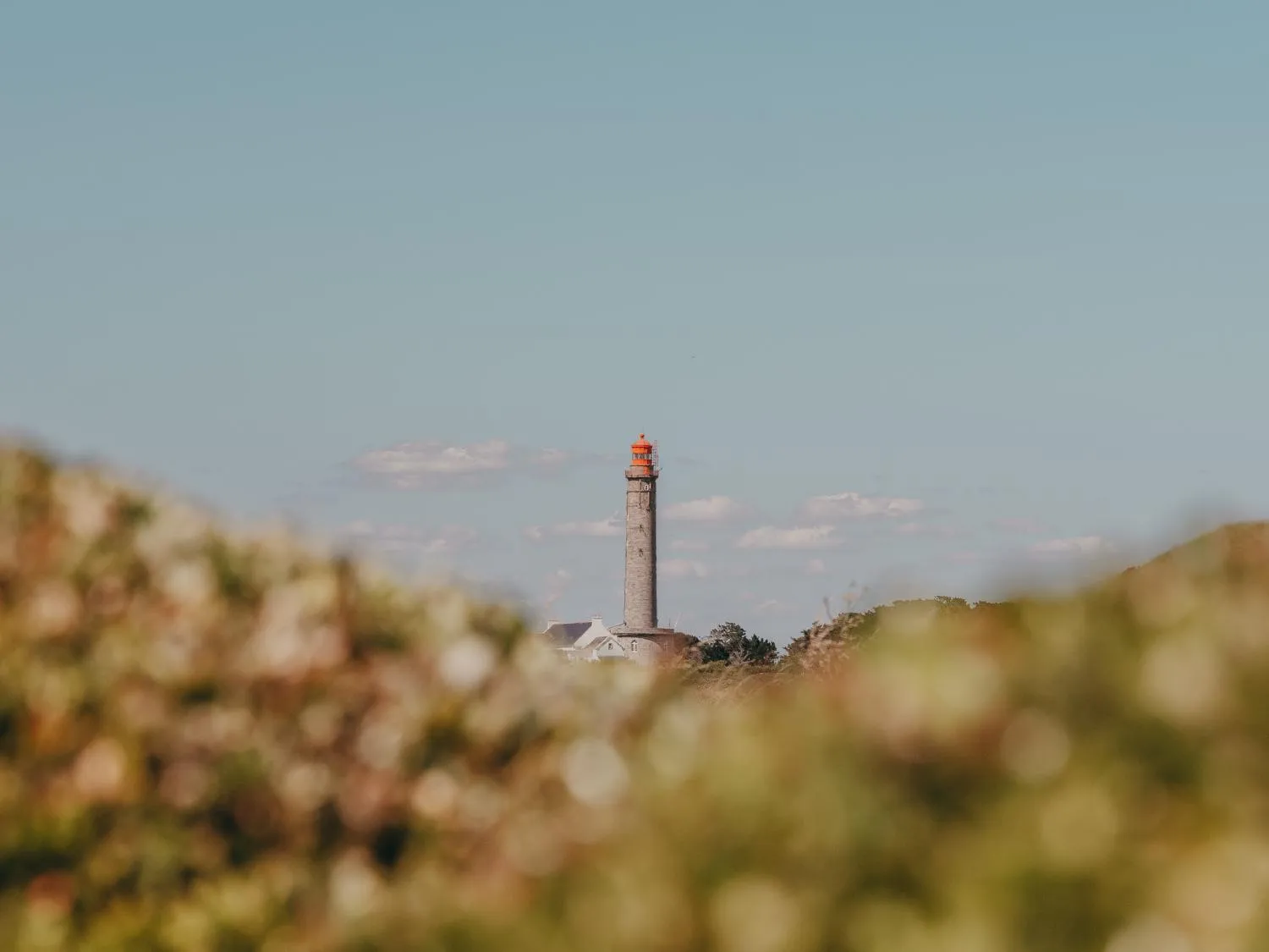 View (from property/room) in Le Grand Large, Belle-Ile-En-Mer
