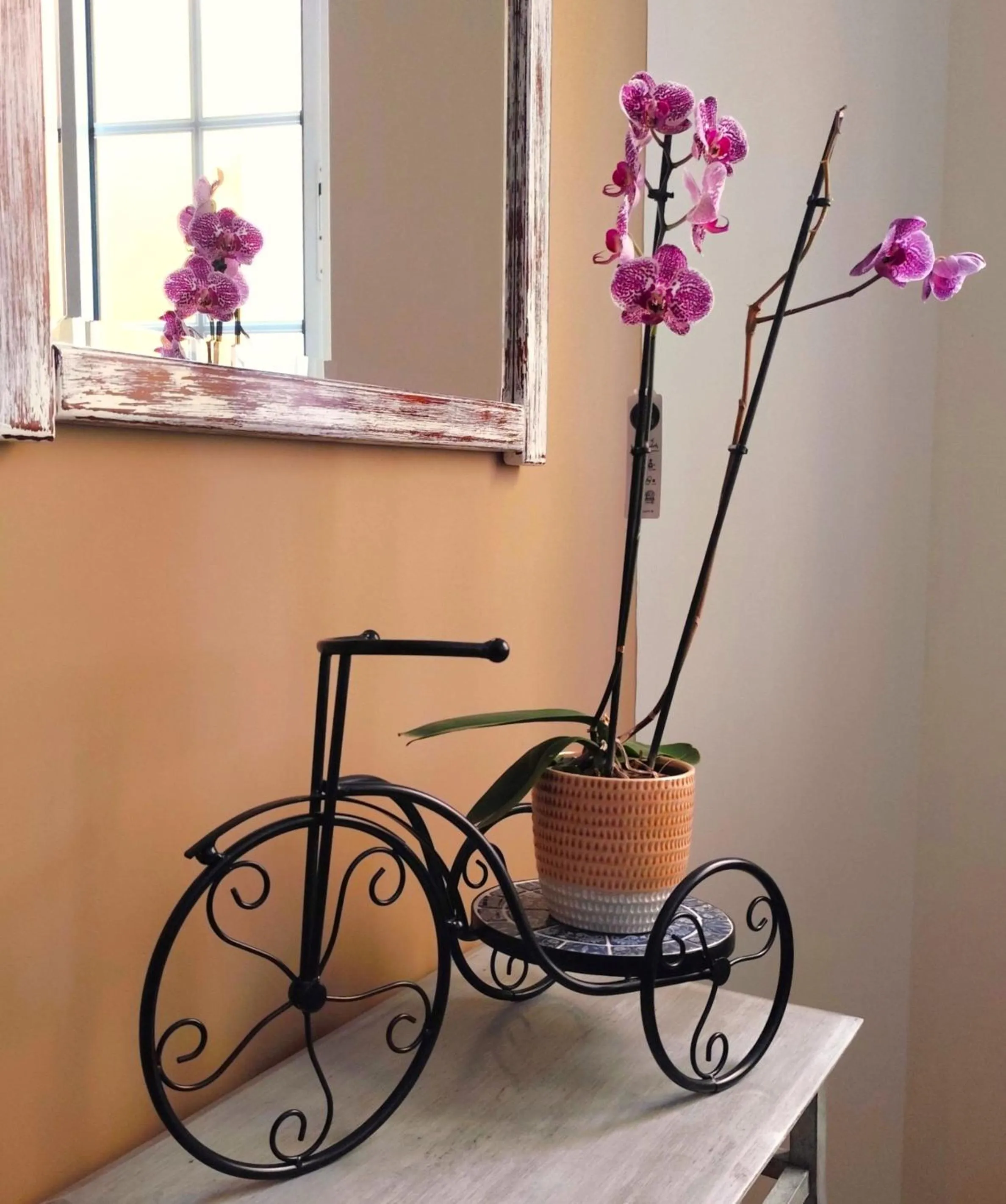 Decorative detail in Hotel Central