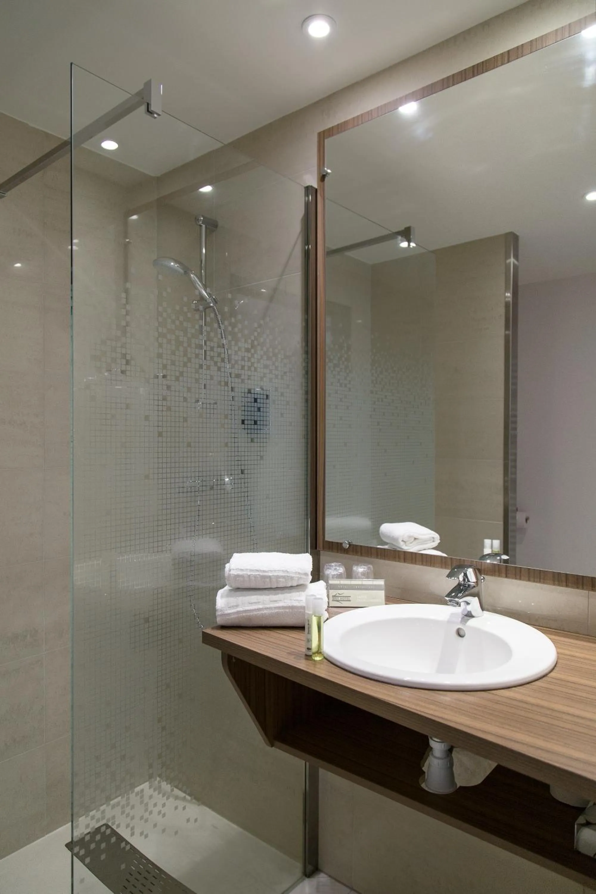 Shower in Brit Hotel Toulouse Colomiers – L’Esplanade