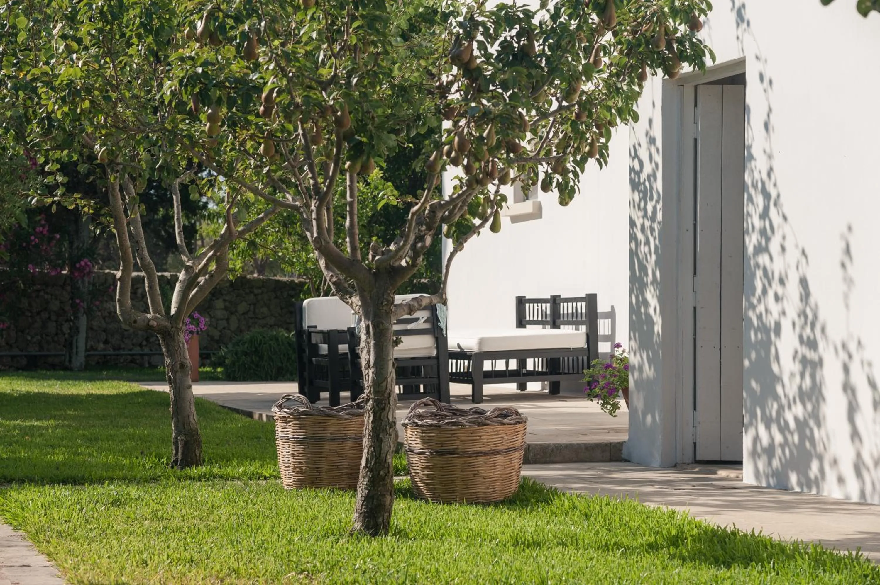 Facade/entrance in Masseria Montelauro