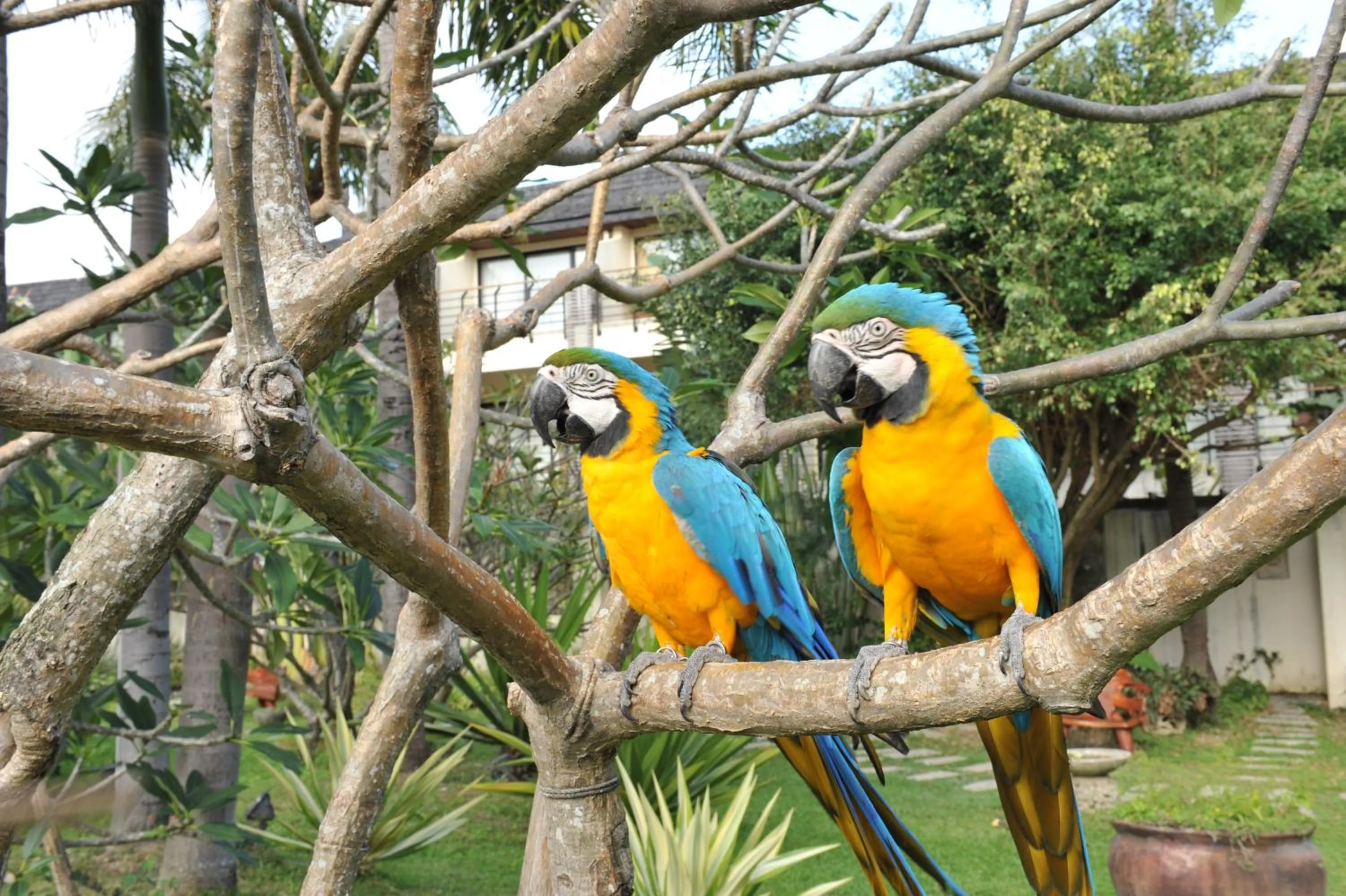 Caesar Park Hotel Kenting