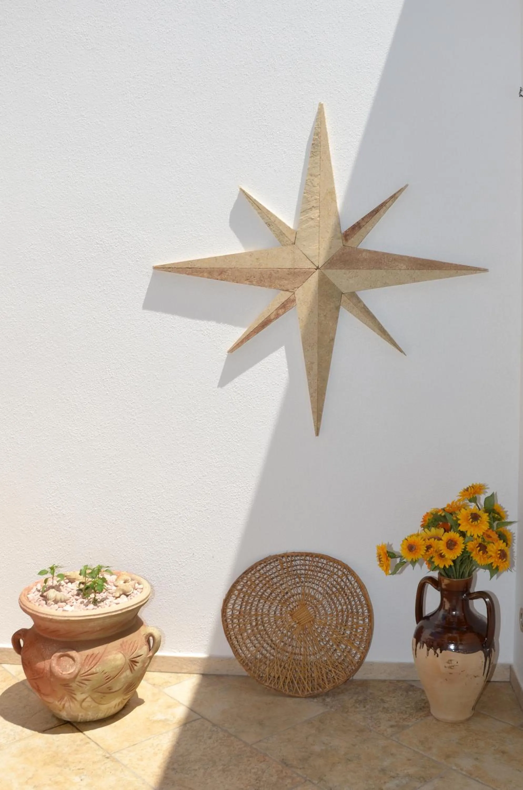 Area and facilities in B&B Anemos