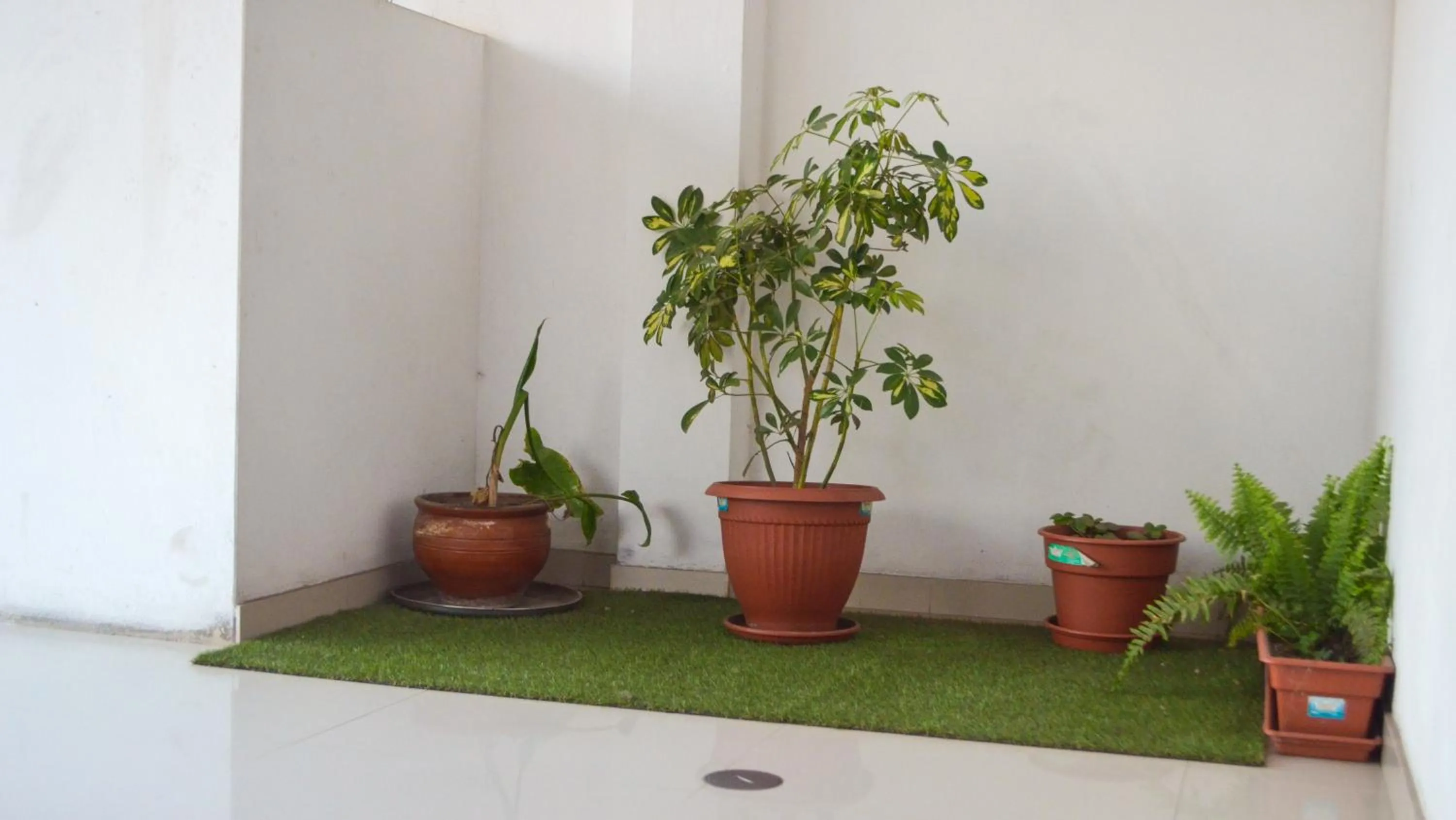 Area and facilities in Rosenverg B&B Tours