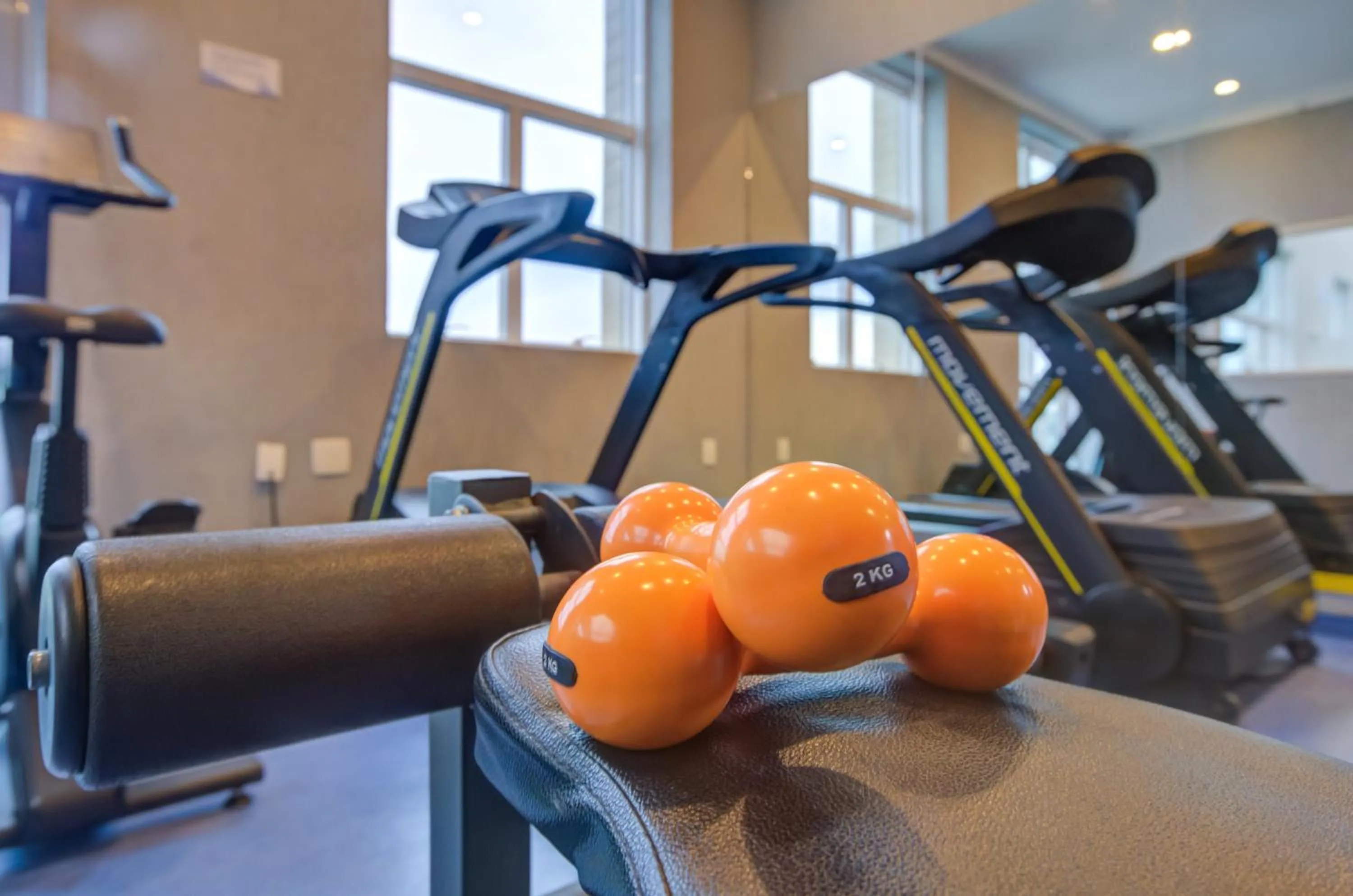 Transamerica Executive Perdizes