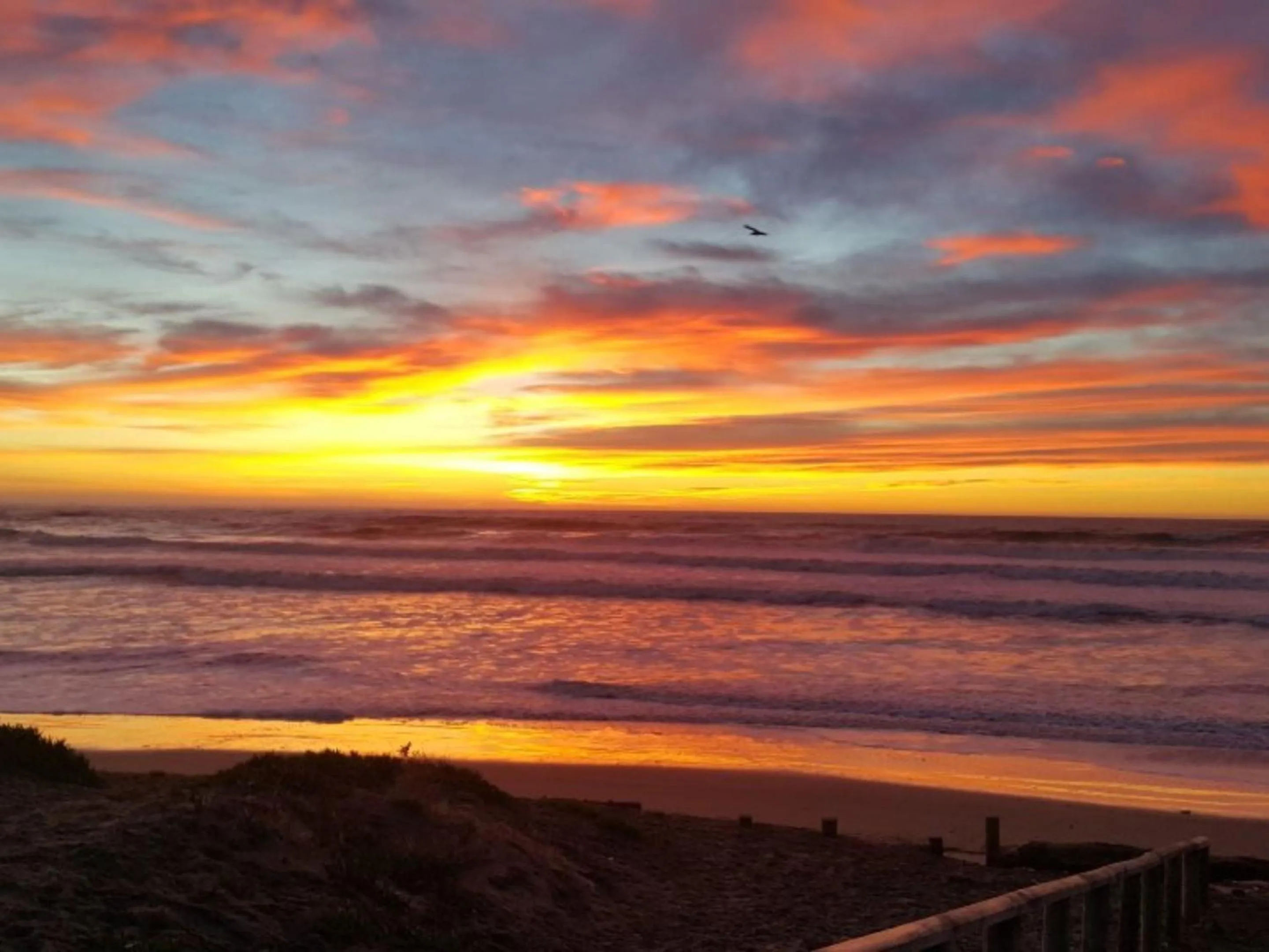 View (from property/room) in South Brighton Holiday Park