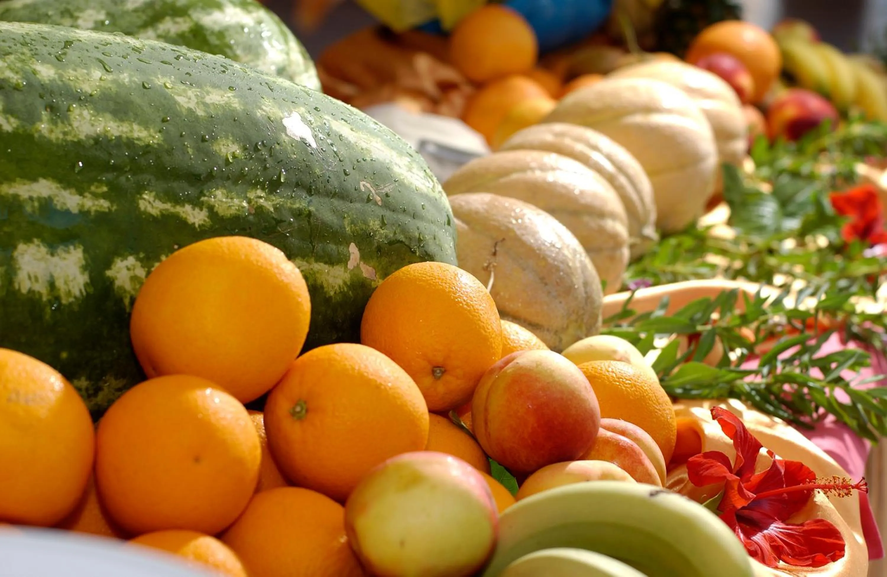 Food and drinks in ROBINSON APULIA - All Inclusive