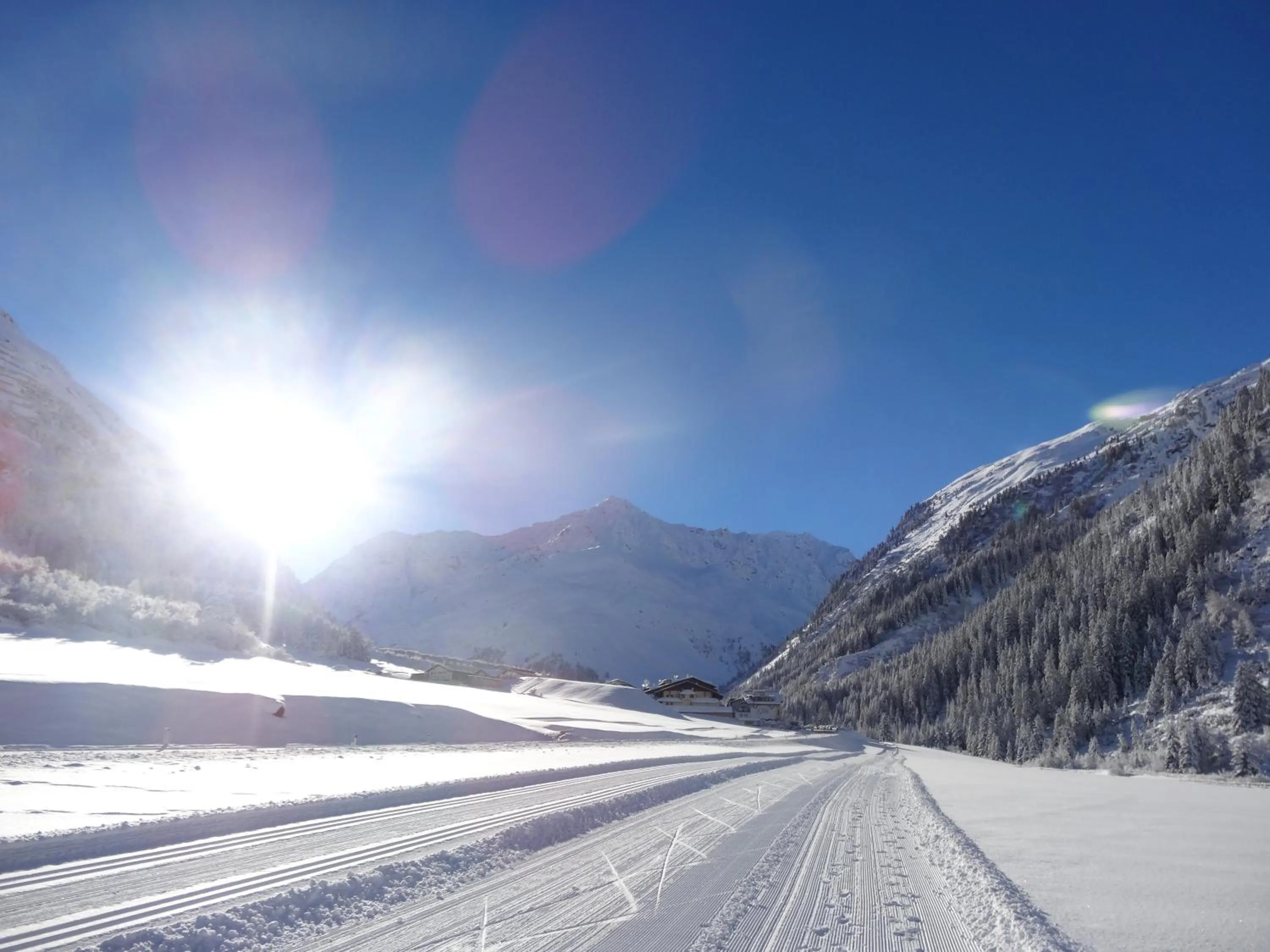 Area and facilities in Hotel Gundolf