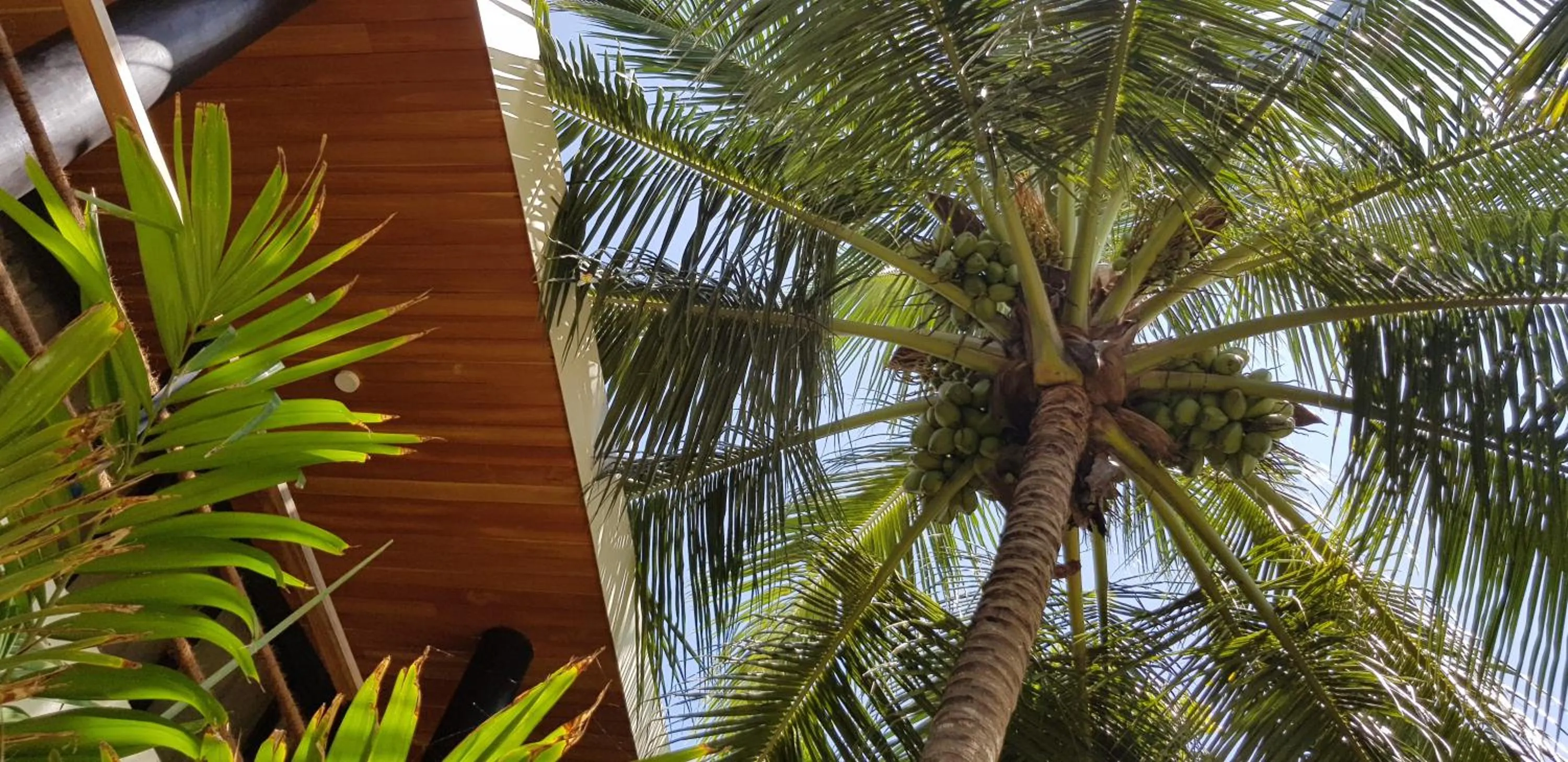 Other in Lankavatara Ocean Retreat & Spa