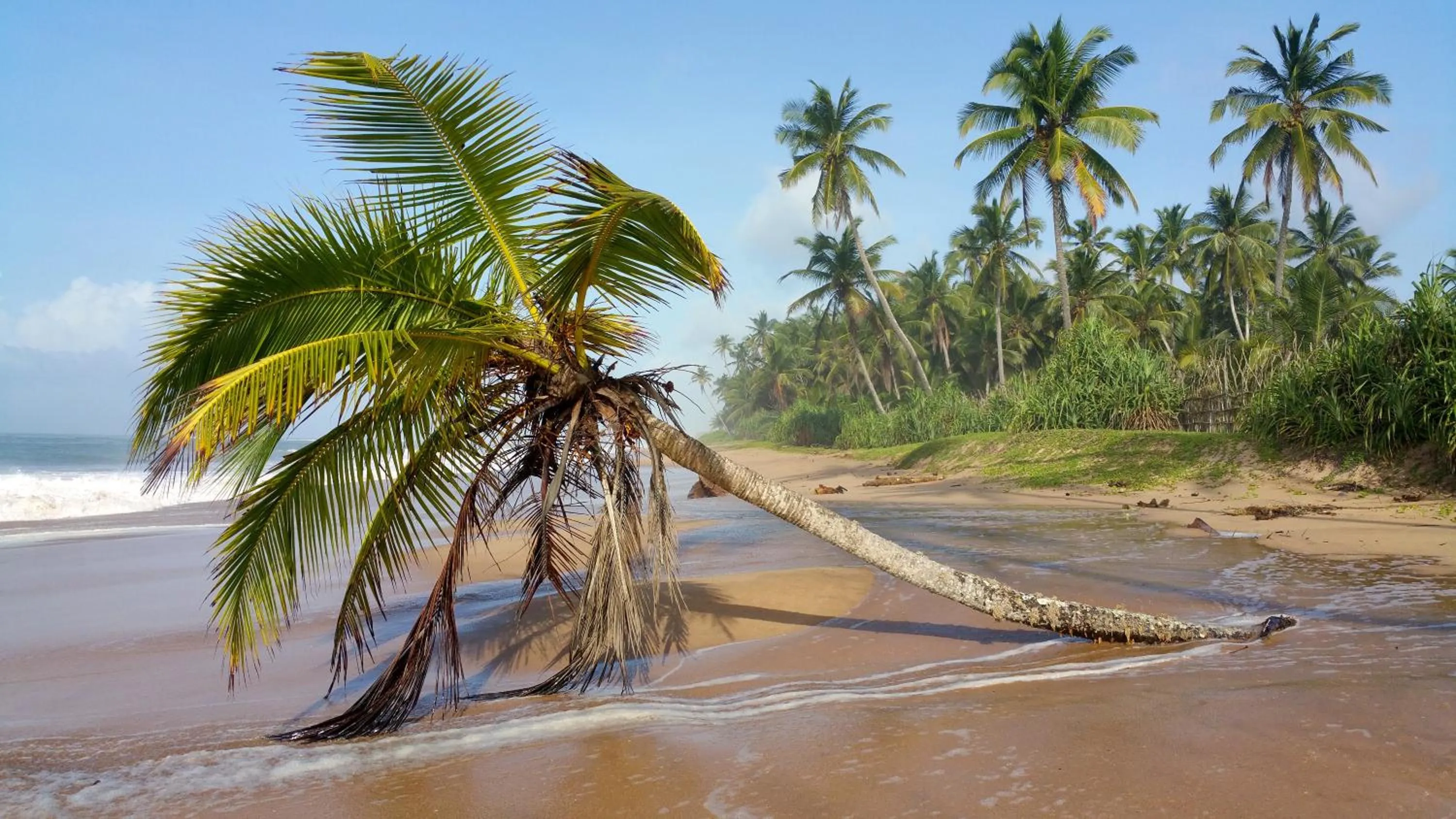 Beach in Lankavatara Ocean Retreat & Spa