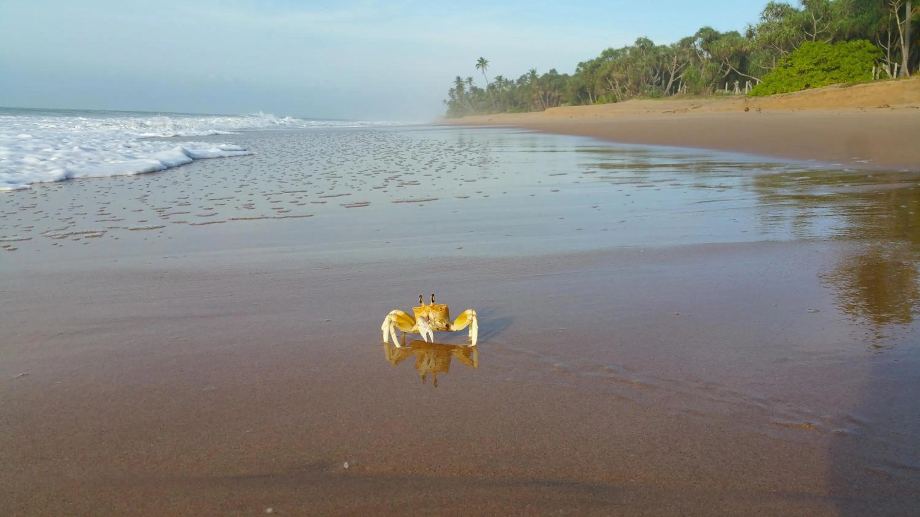 Beach in Lankavatara Ocean Retreat & Spa