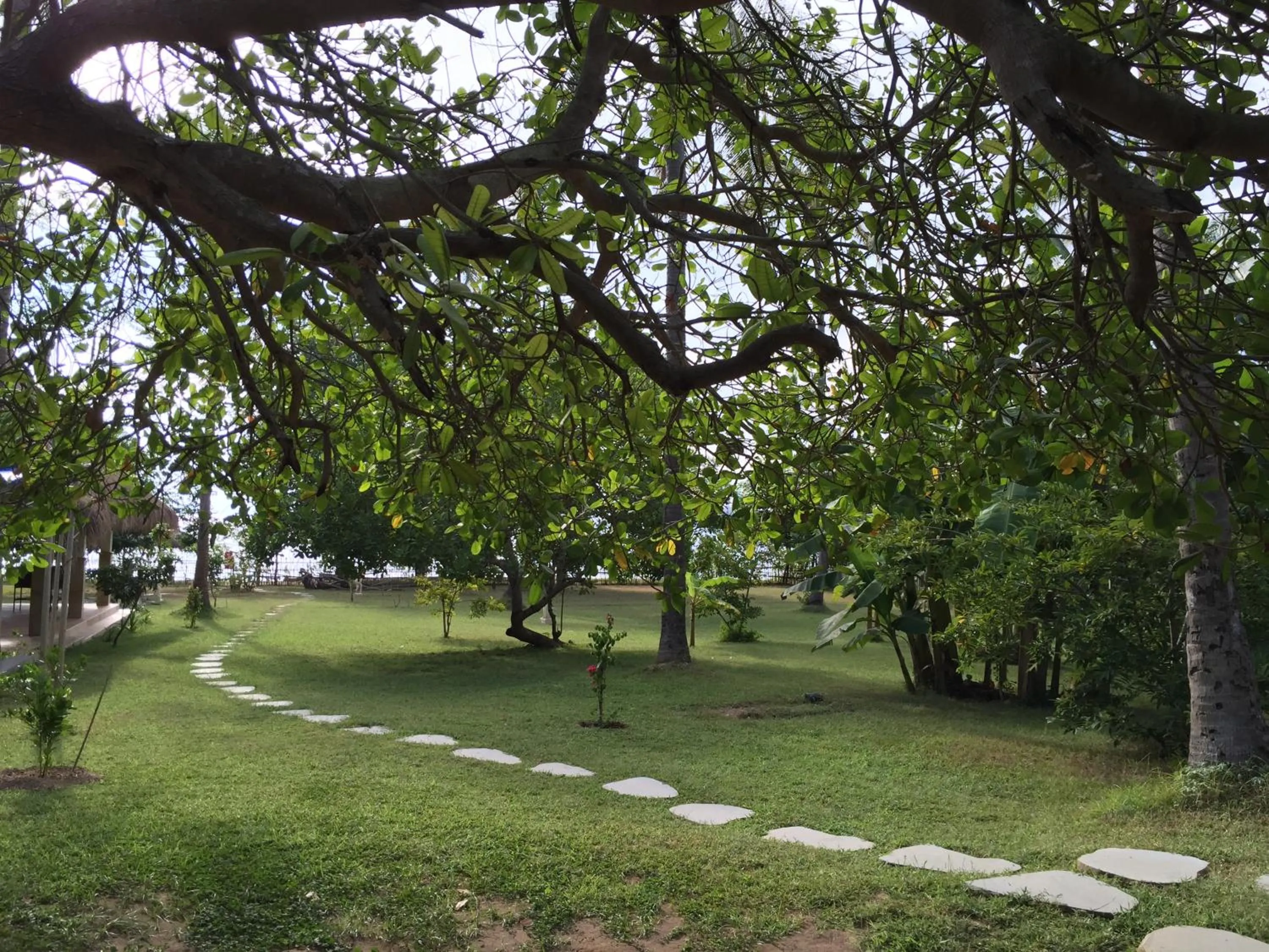 On site in The Papalagi Resort