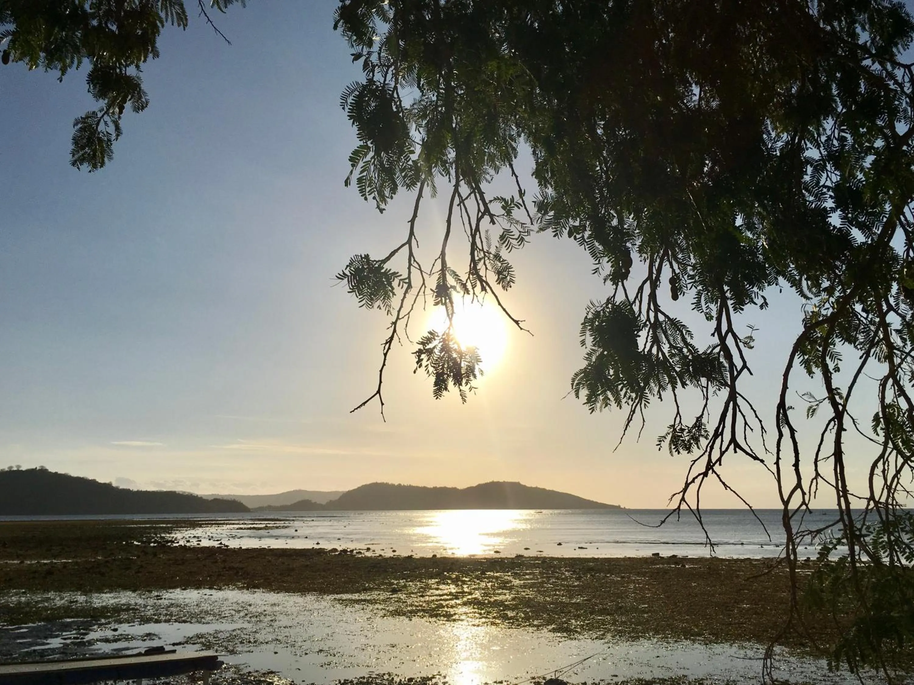 Beach in The Papalagi Resort