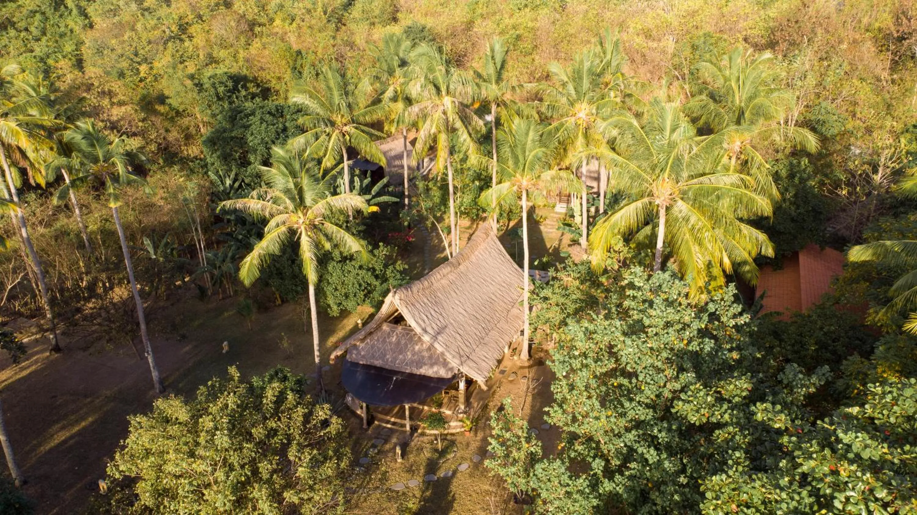 Restaurant/places to eat in The Papalagi Resort