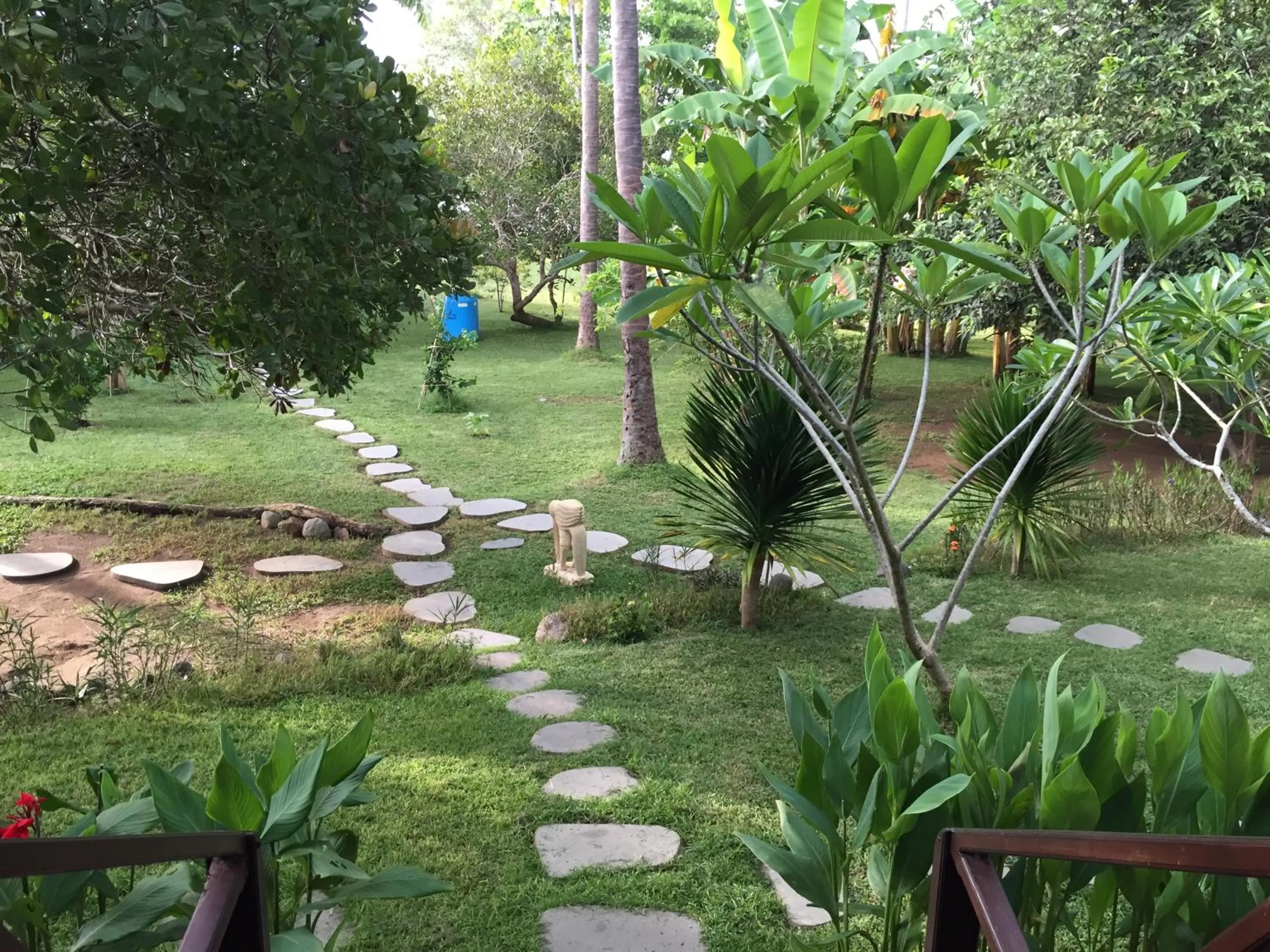 Day in The Papalagi Resort