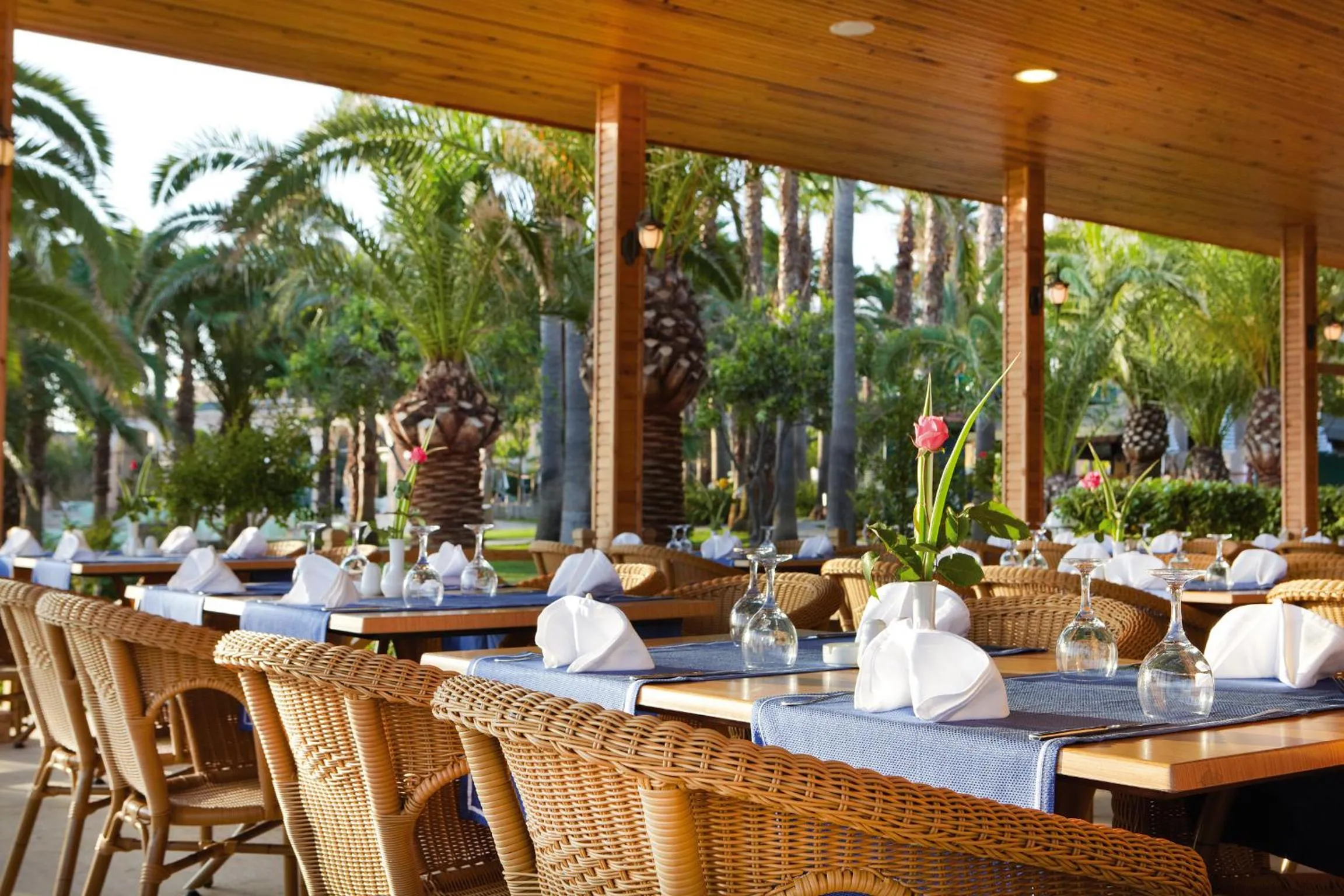 Restaurant/places to eat in Meryan Hotel - Ultra All Inclusive