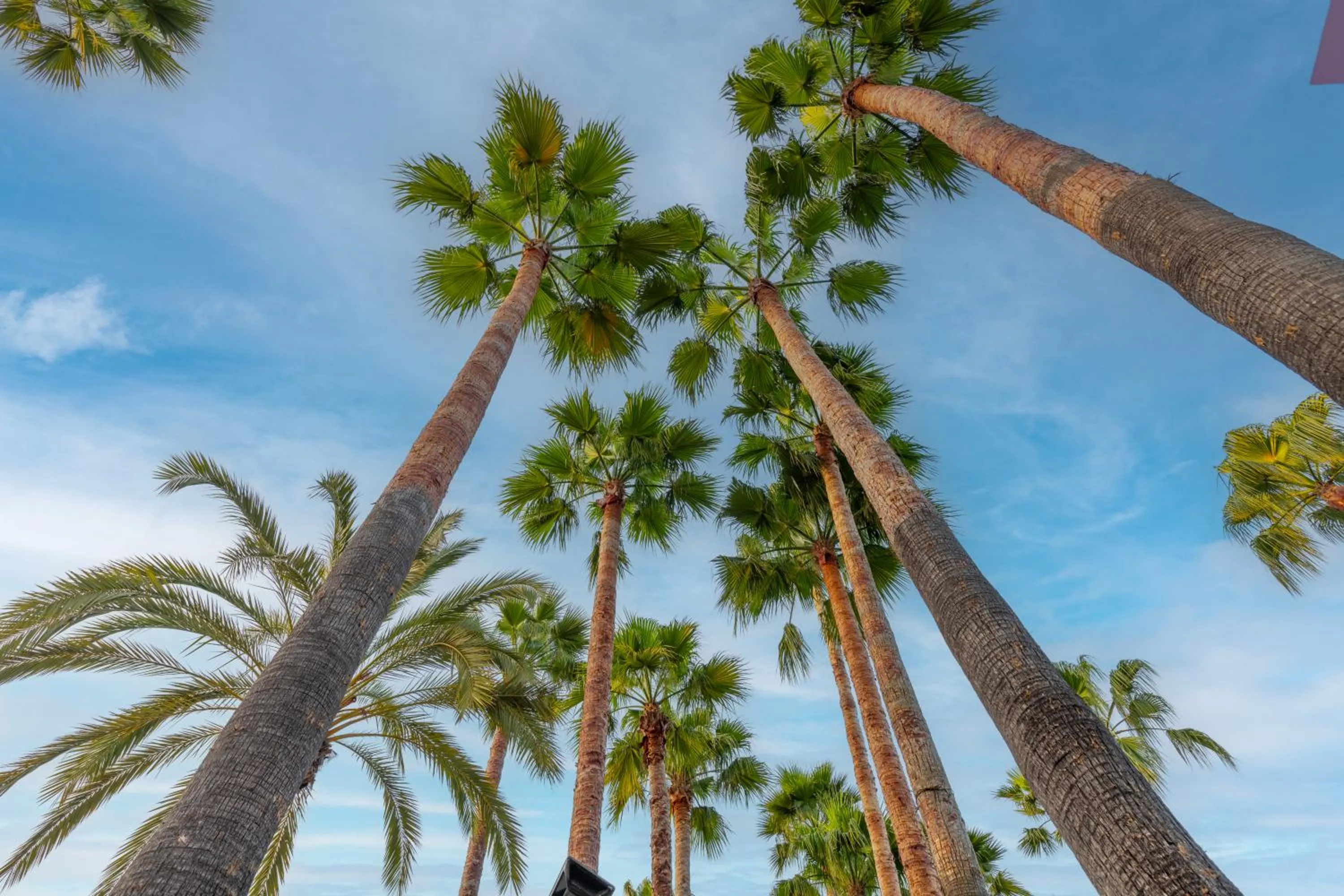 Natural landscape in Meryan Hotel - Ultra All Inclusive