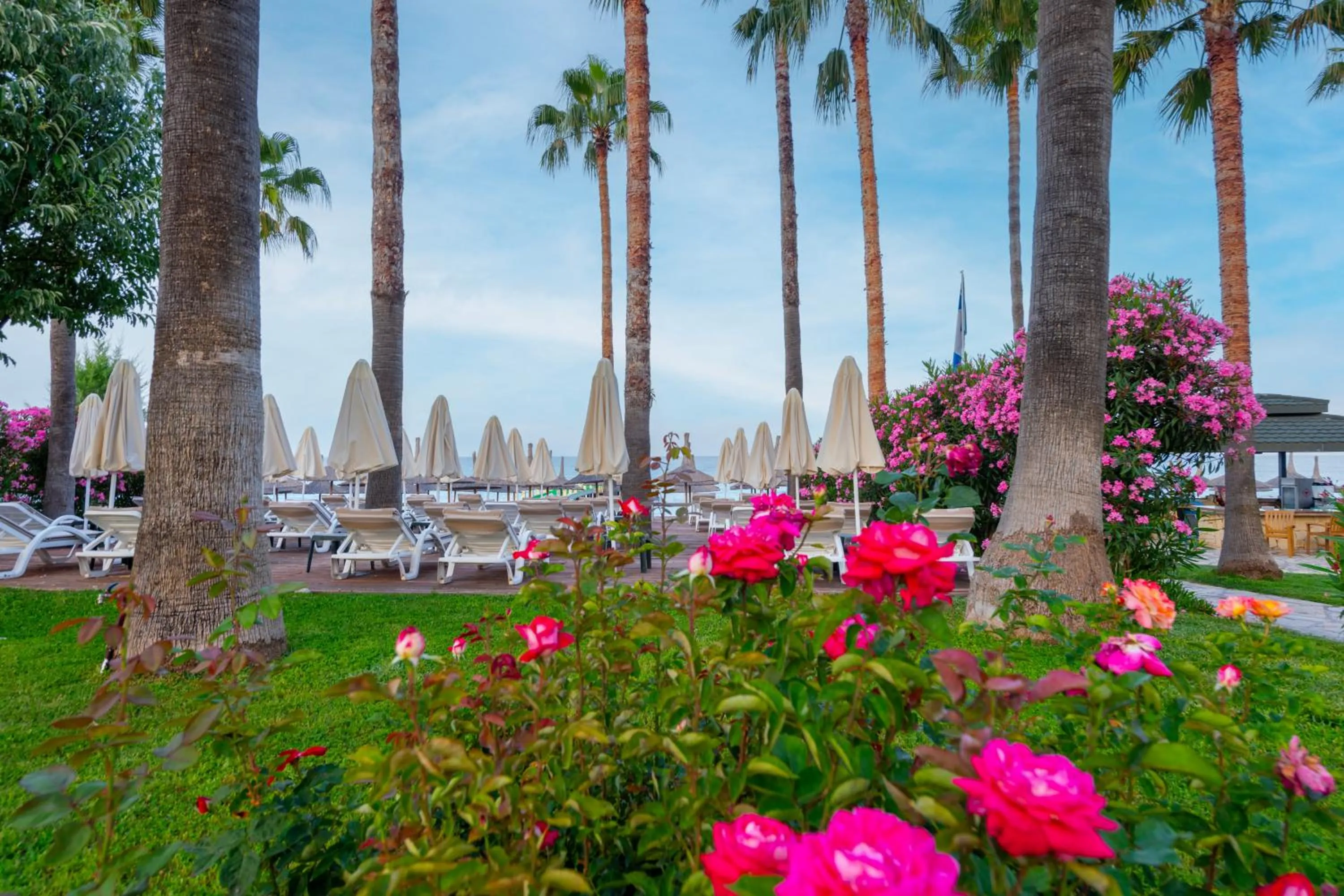 Natural landscape in Meryan Hotel - Ultra All Inclusive