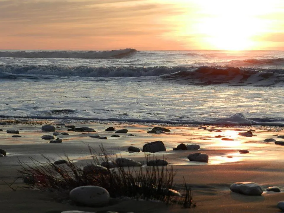 Natural landscape in Hotel L'Oceane