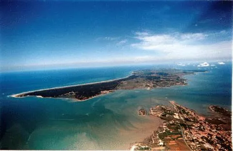 Area and facilities in Hotel L'Oceane