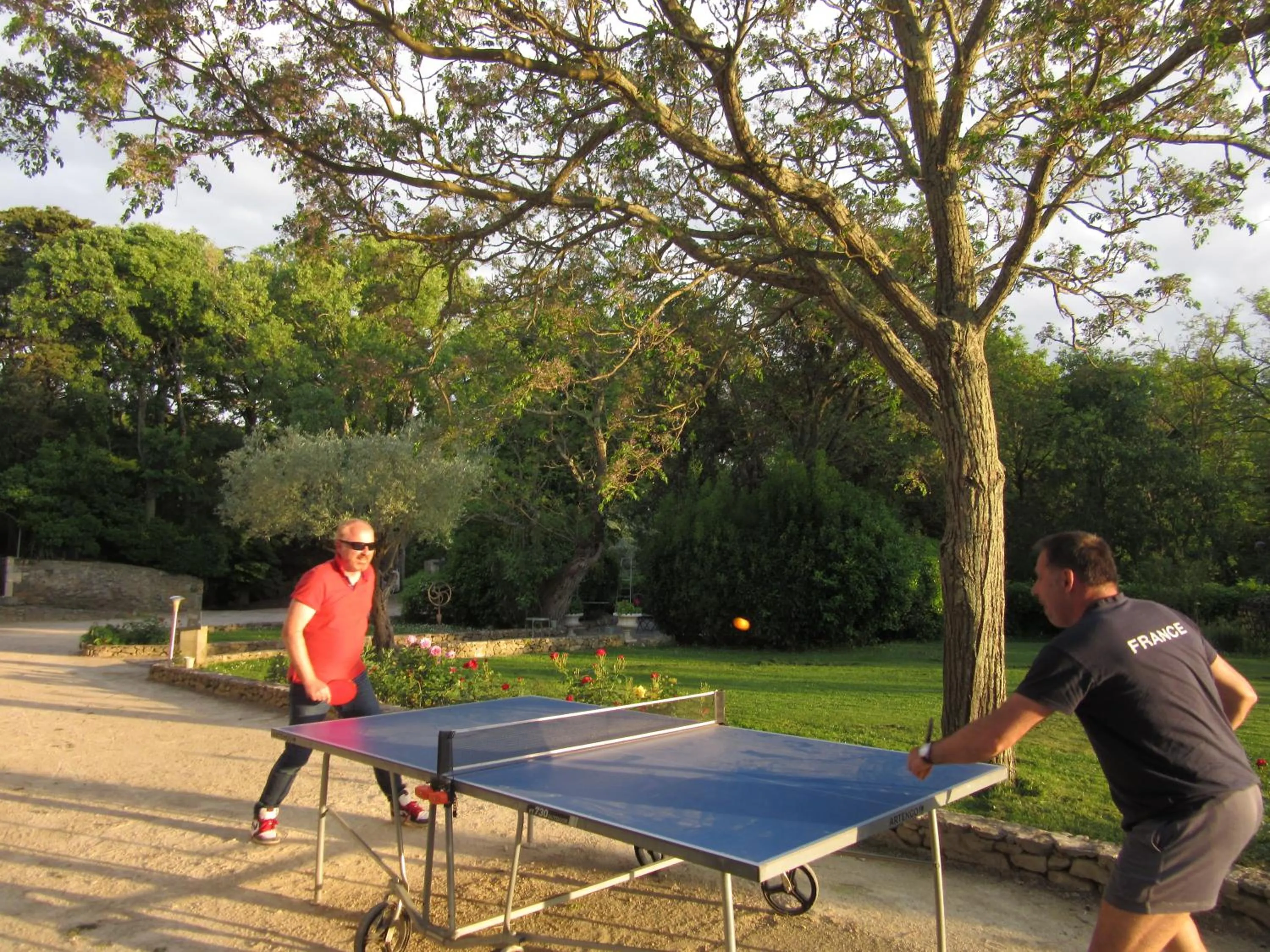 Sports in Logis Hôtel Château De Palaja