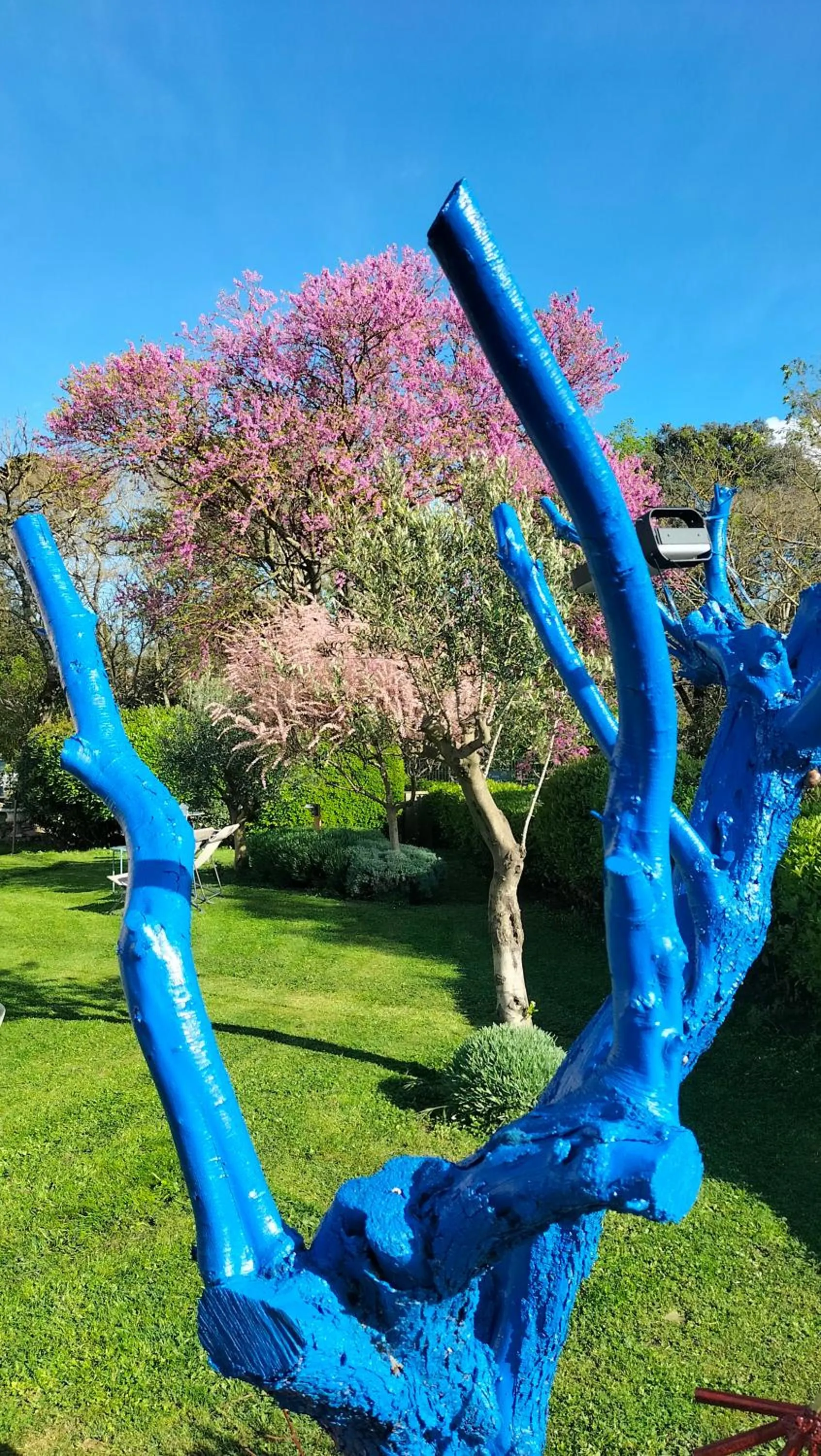 Garden in Logis Hôtel Château De Palaja