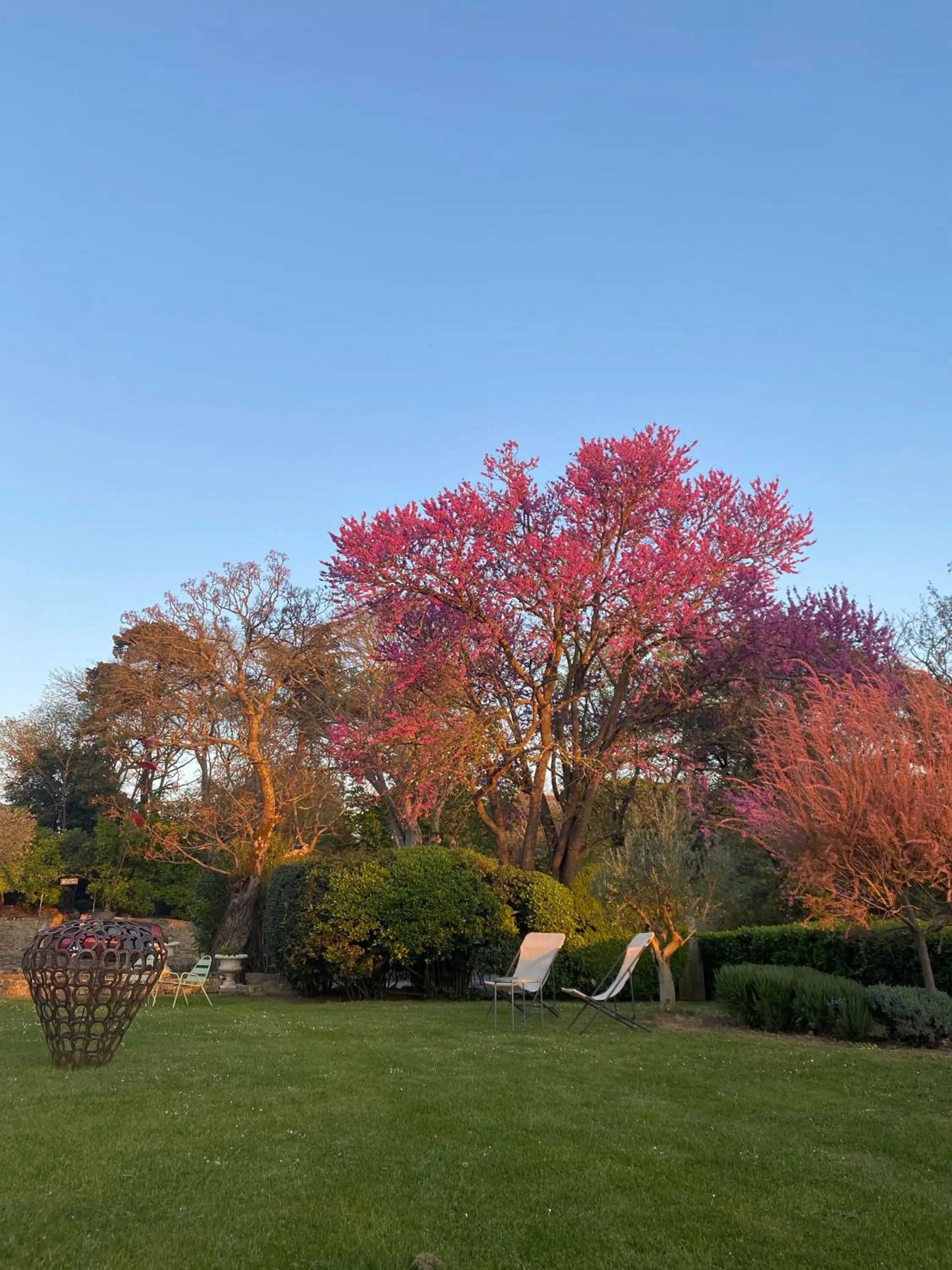 Natural landscape in Logis Hôtel Château De Palaja