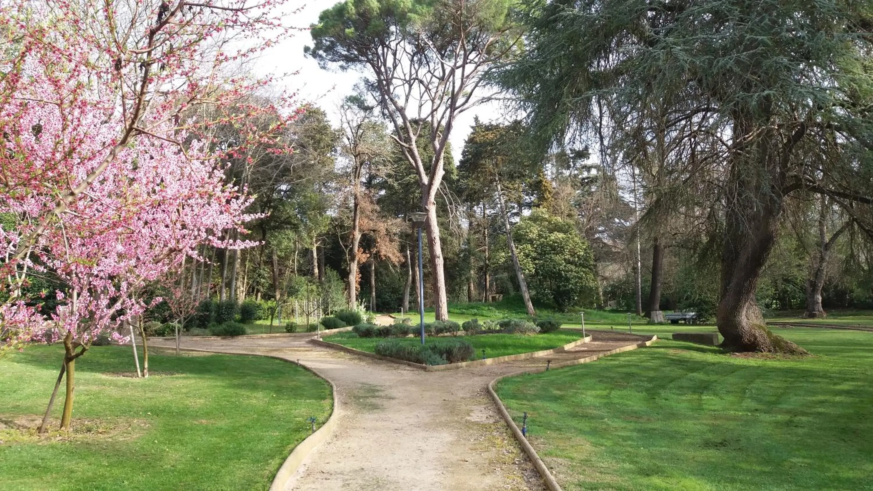 Garden in Logis Hôtel Château De Palaja