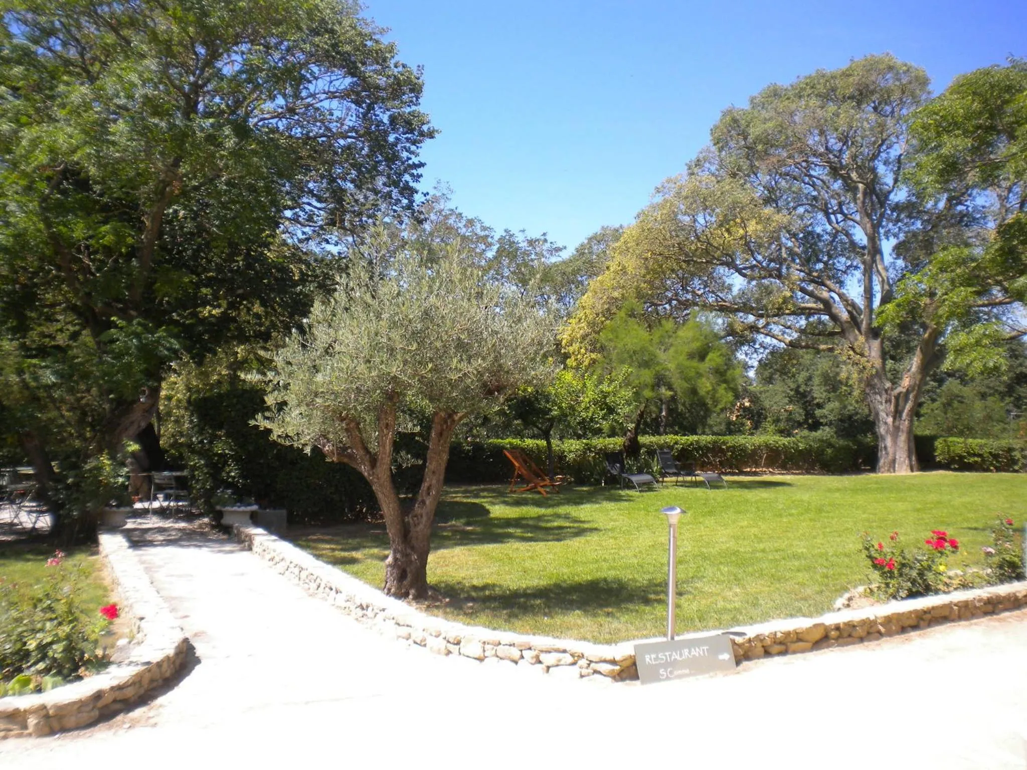 Garden in Logis Hôtel Château De Palaja