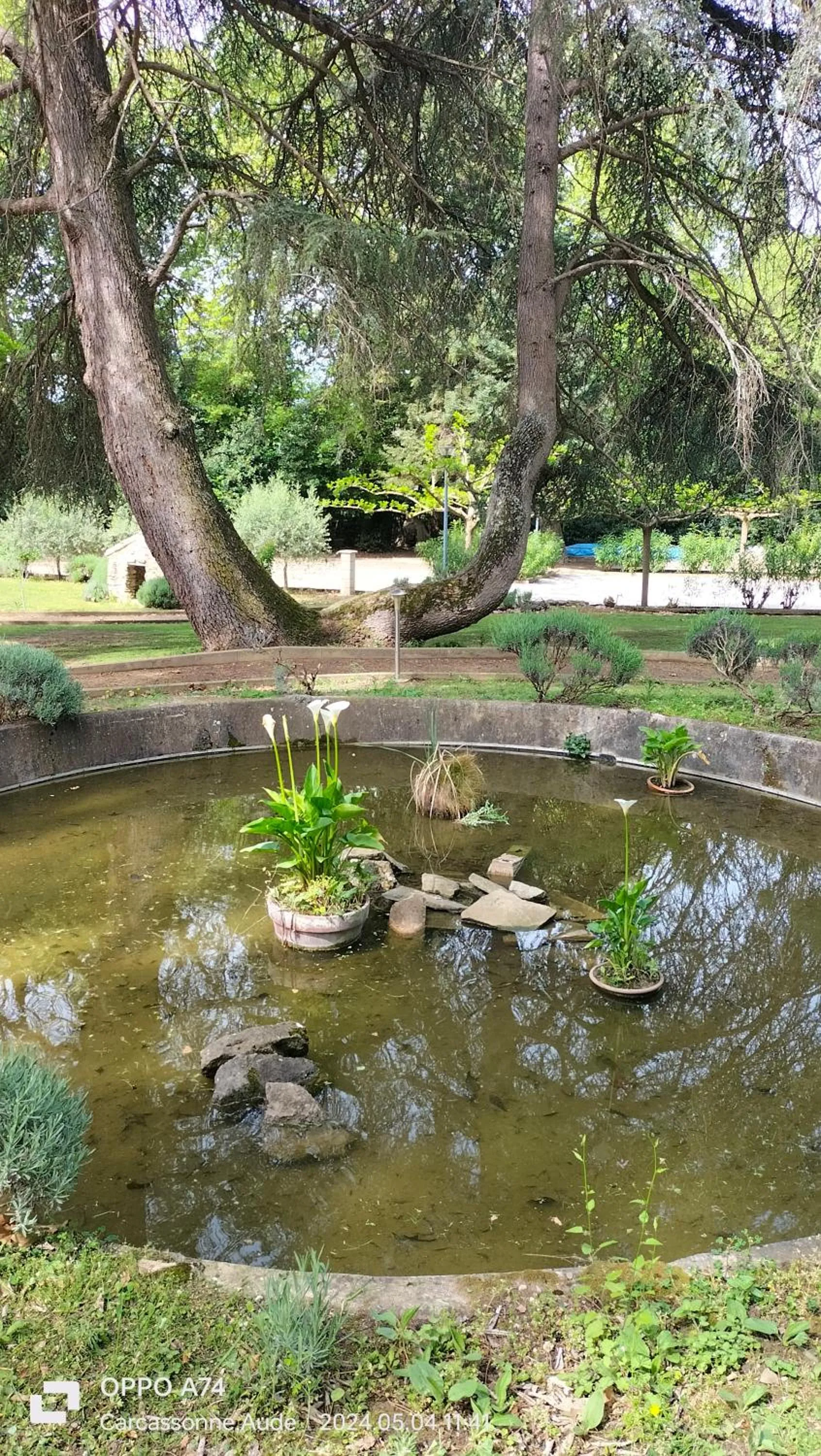 Garden in Logis Hôtel Château De Palaja