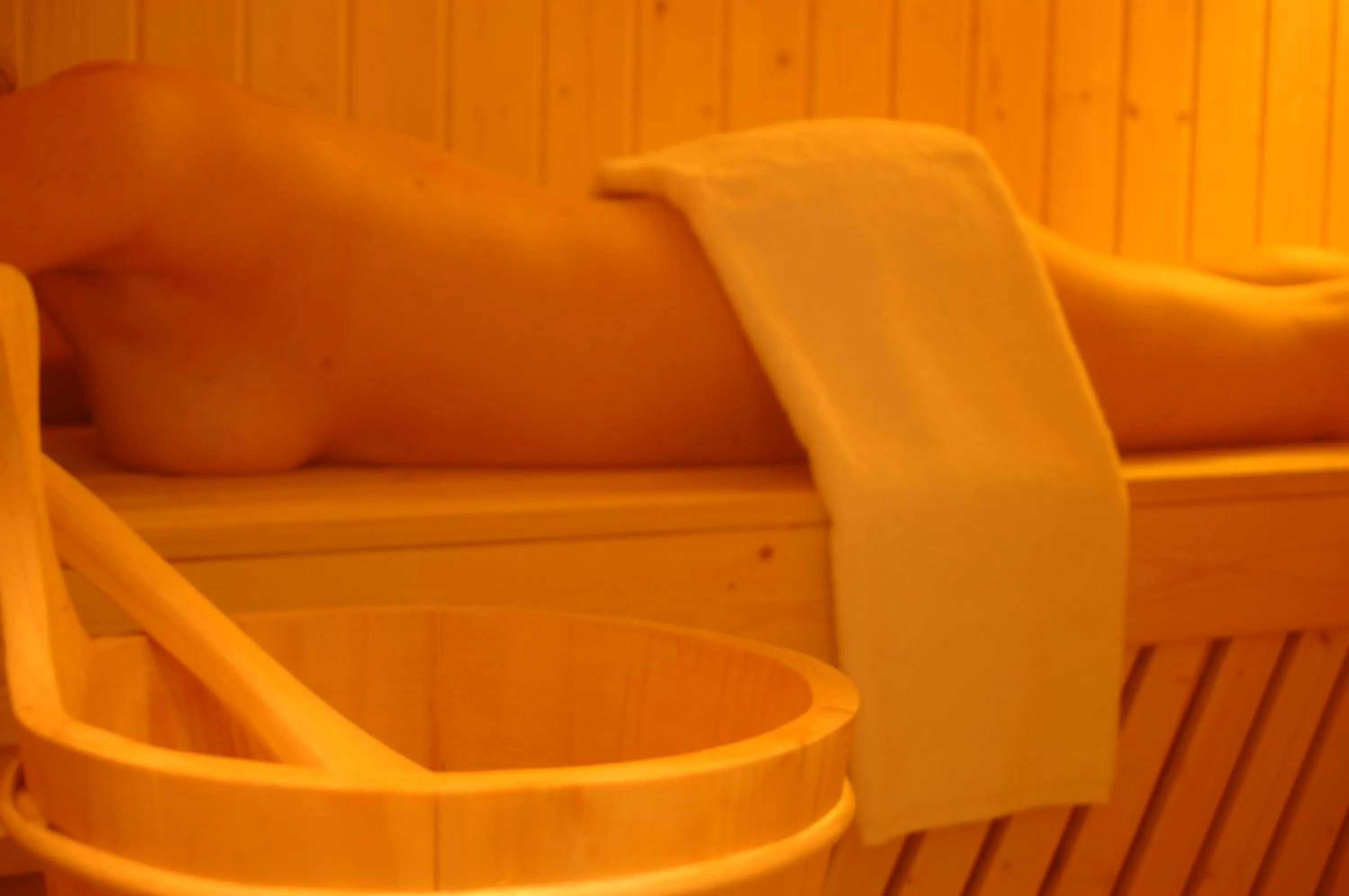 Sauna in Logis Hôtel Château De Palaja