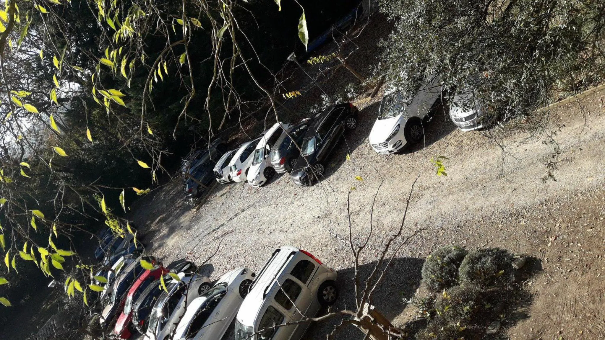 Area and facilities in Logis Hôtel Château De Palaja