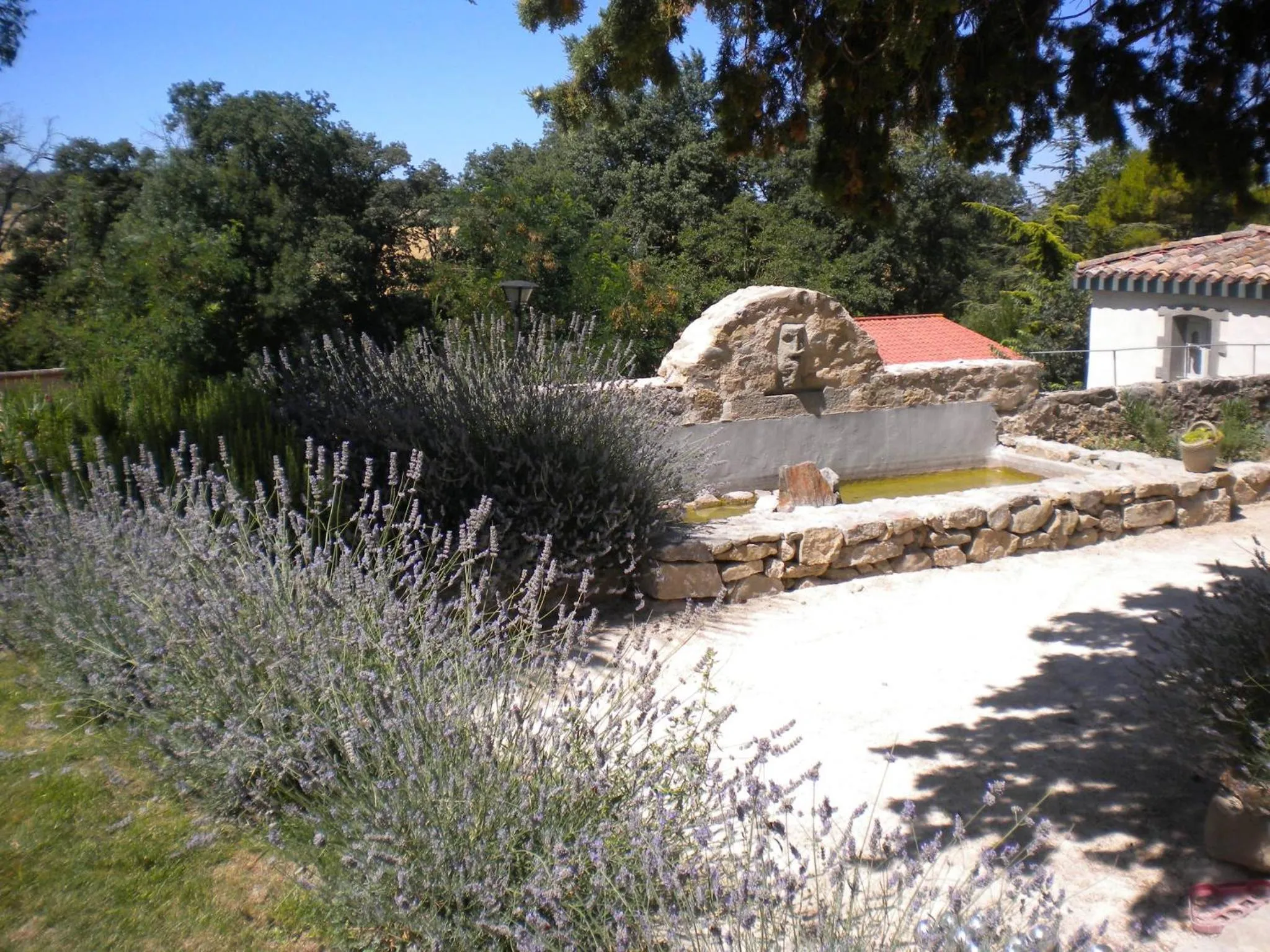 Garden in Logis Hôtel Château De Palaja